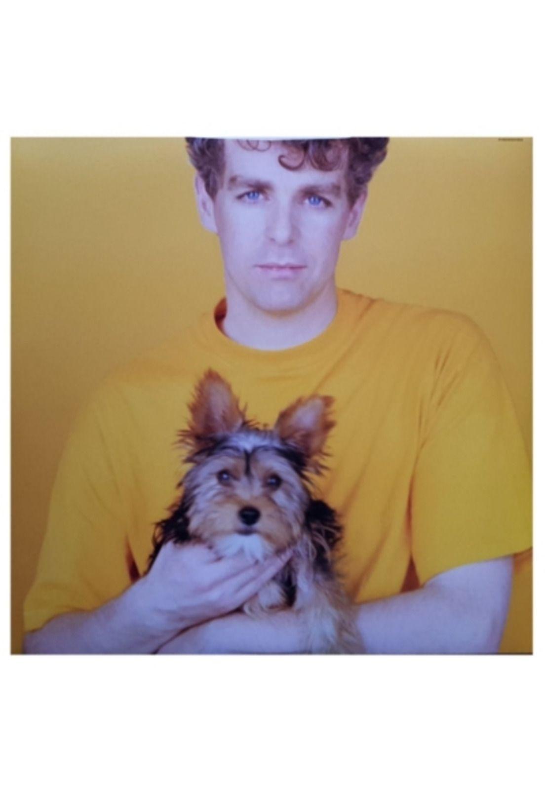 PET SHOP BOYS - INTROSPECTIVE | VINILO-4