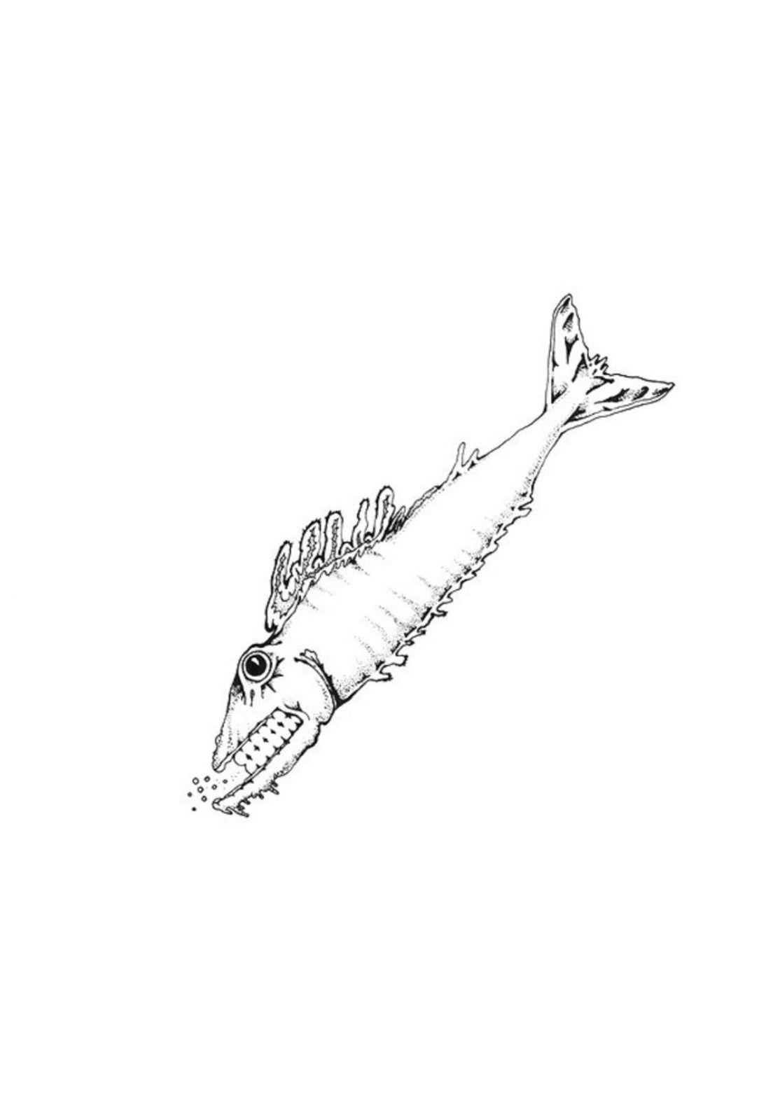 PESCADO RABIOSO - DESATORMENTANDONOS | VINILO-2