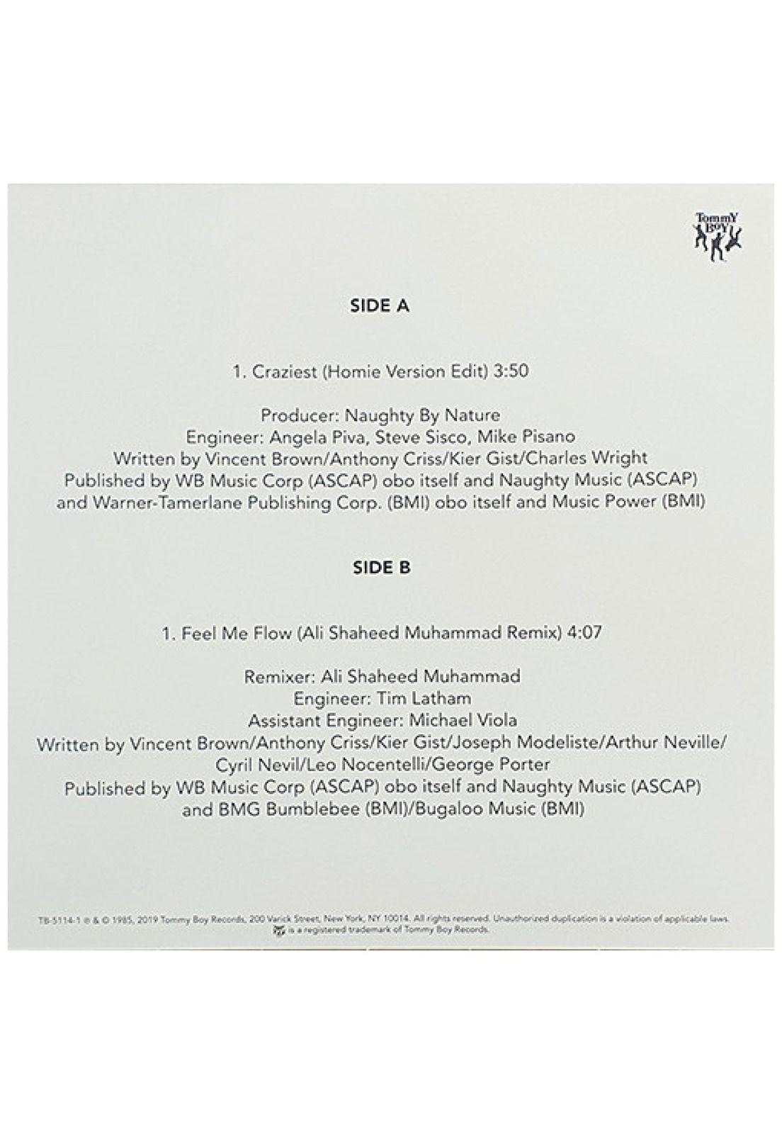 NAUGHTY BY NATURE - POVERTY'S PARADISE (LIMITED ANNIVERSARY EDITION) (2LP) | VINILO-5