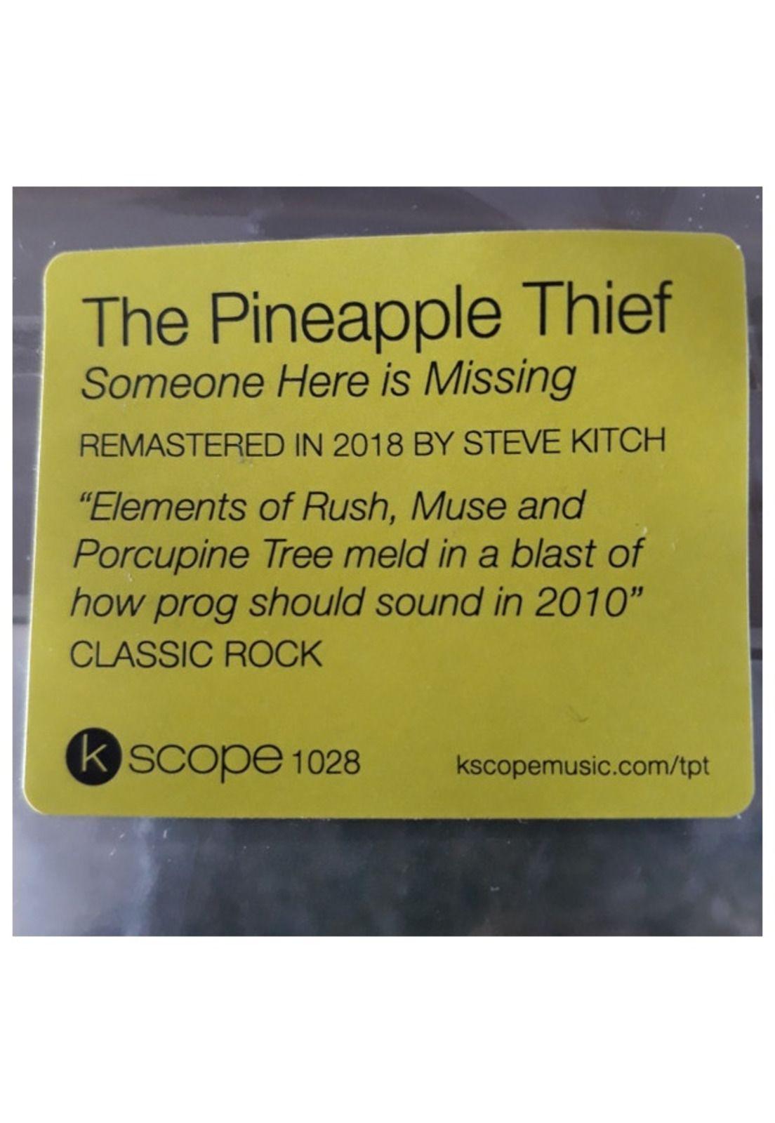 PINEAPPLE THIEF - SOMEONE HERE IS MISSING | VINILO-2