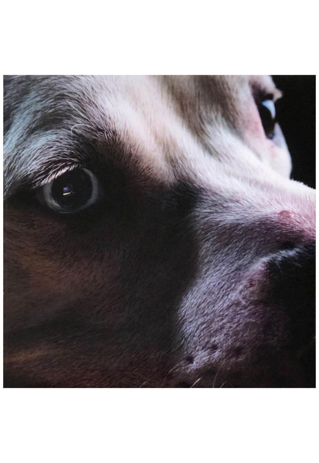 ROGER WATER - DARK SIDE OF THE MOON REDUX (2LP) | VINILO-6