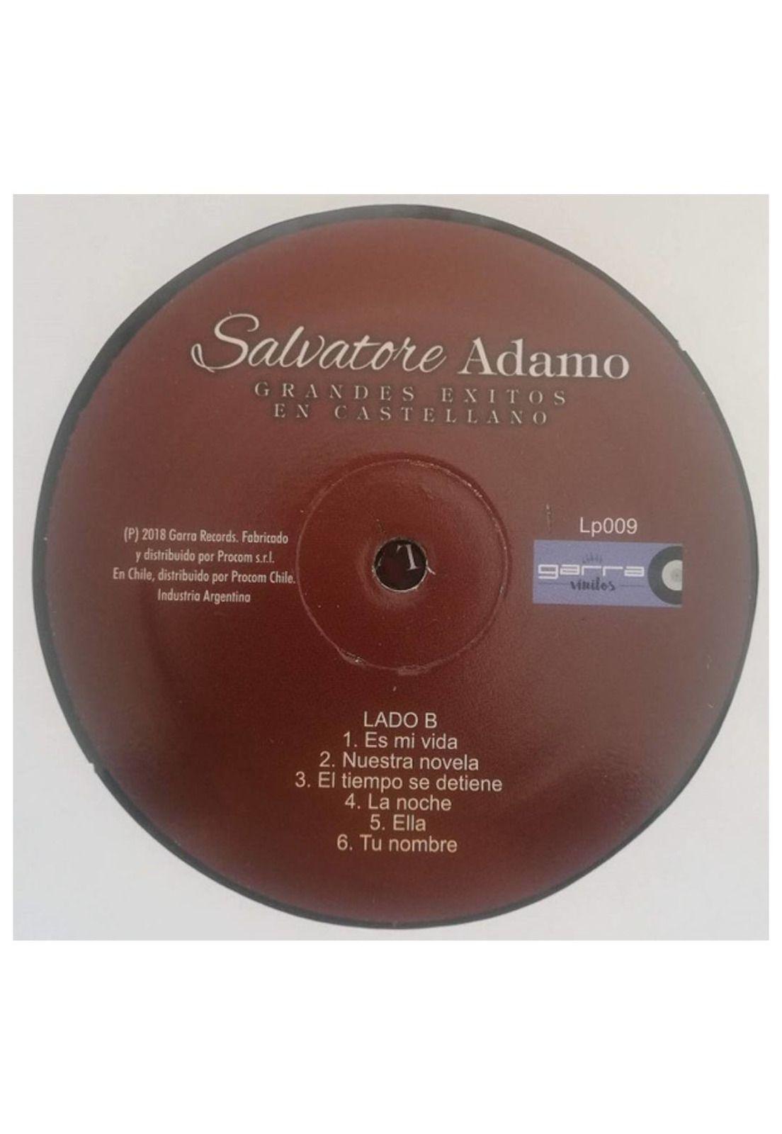 ADAMO - GRANDES EXITOS EN CASTELLANO | VINILO-2
