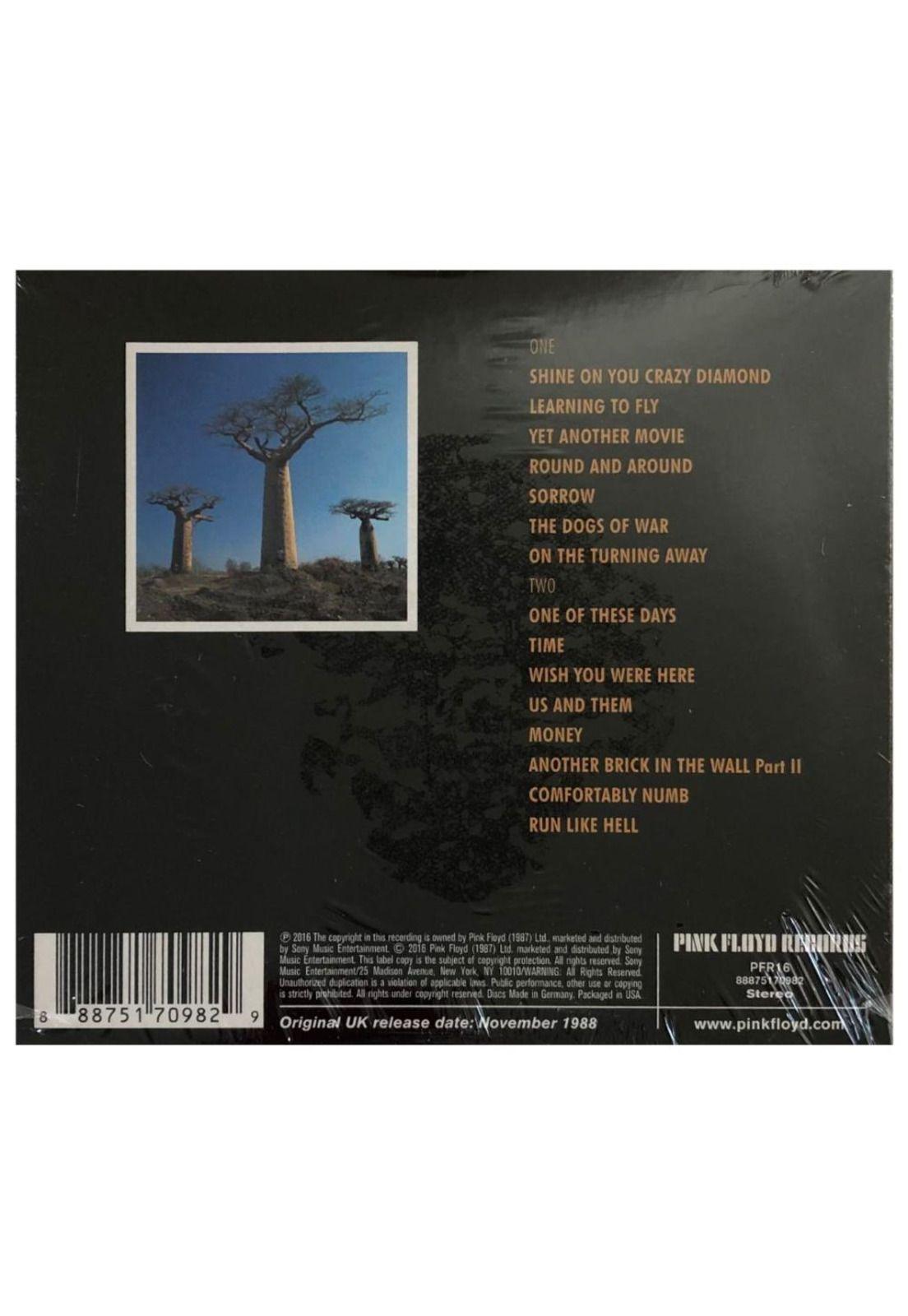 PINK FLOYD - DELICATE SOUND OF THUNDER (2CD) | CD-1