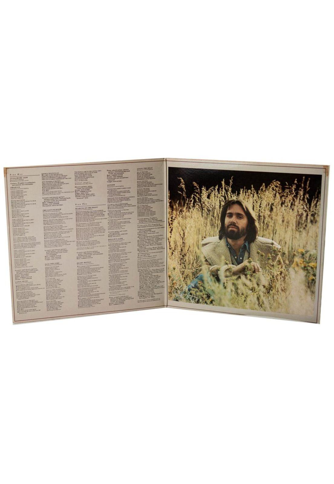 DAN FOGELBERG - PHOENIX | VINILO USADO-2
