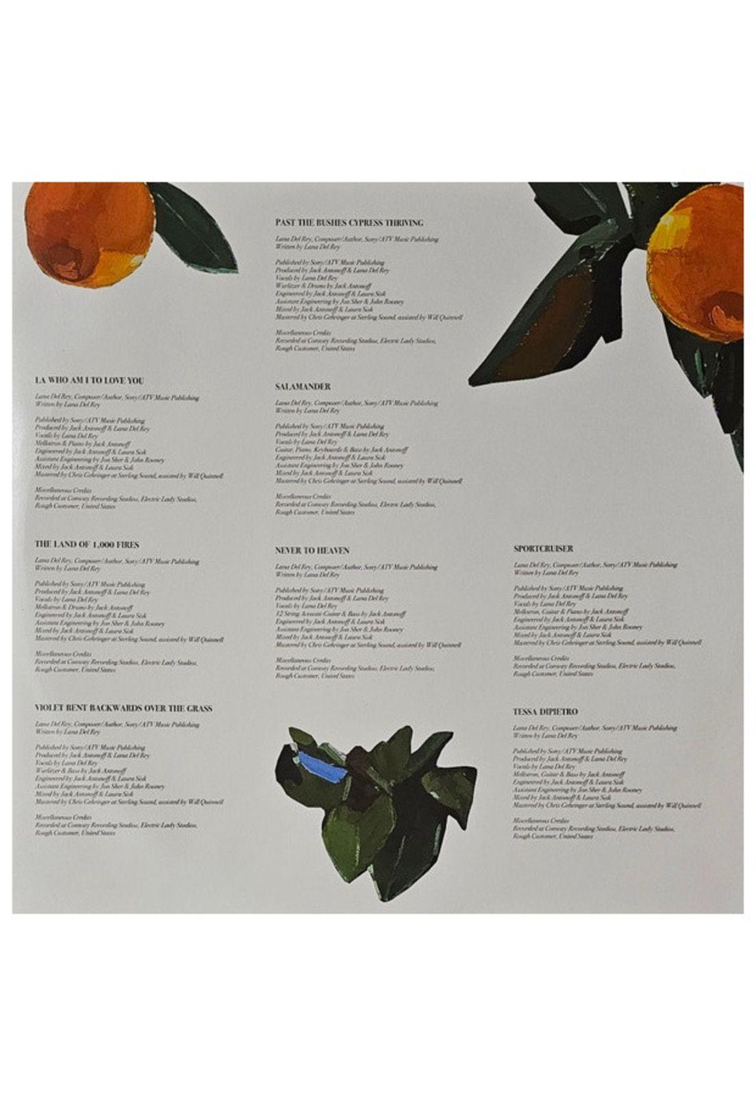 LANA DEL REY - VIOLET BENT BACKWARDS OVER THE GRASS | VINILO-3