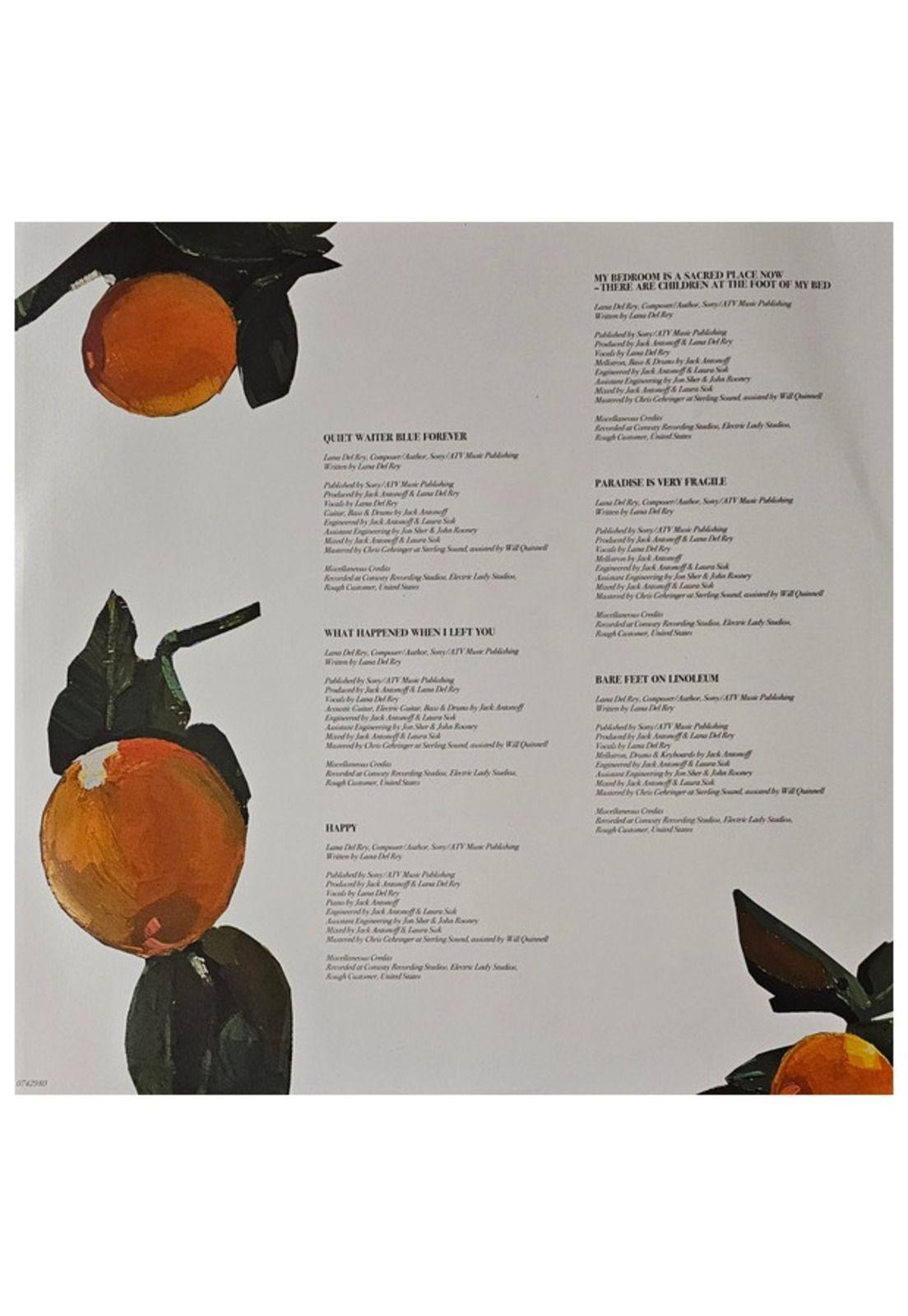 LANA DEL REY - VIOLET BENT BACKWARDS OVER THE GRASS | VINILO-9