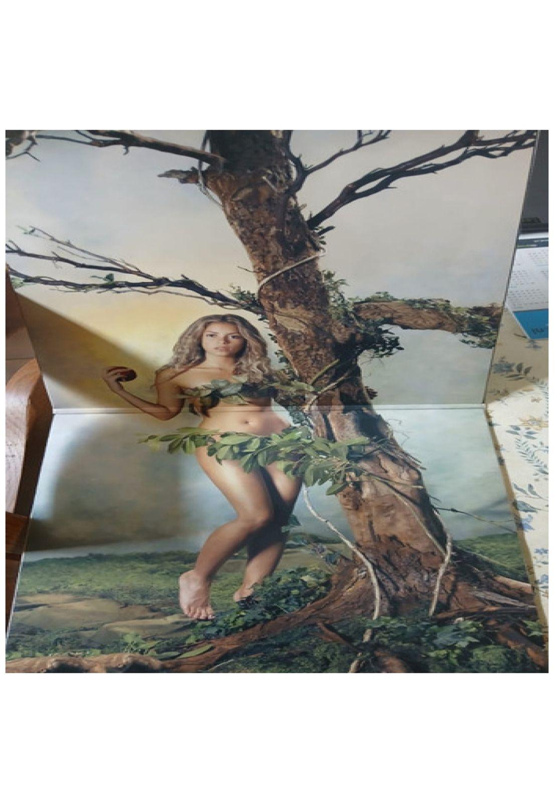 SHAKIRA - ORAL FIXATION VOL. 2 (2LP) | VINILO-4