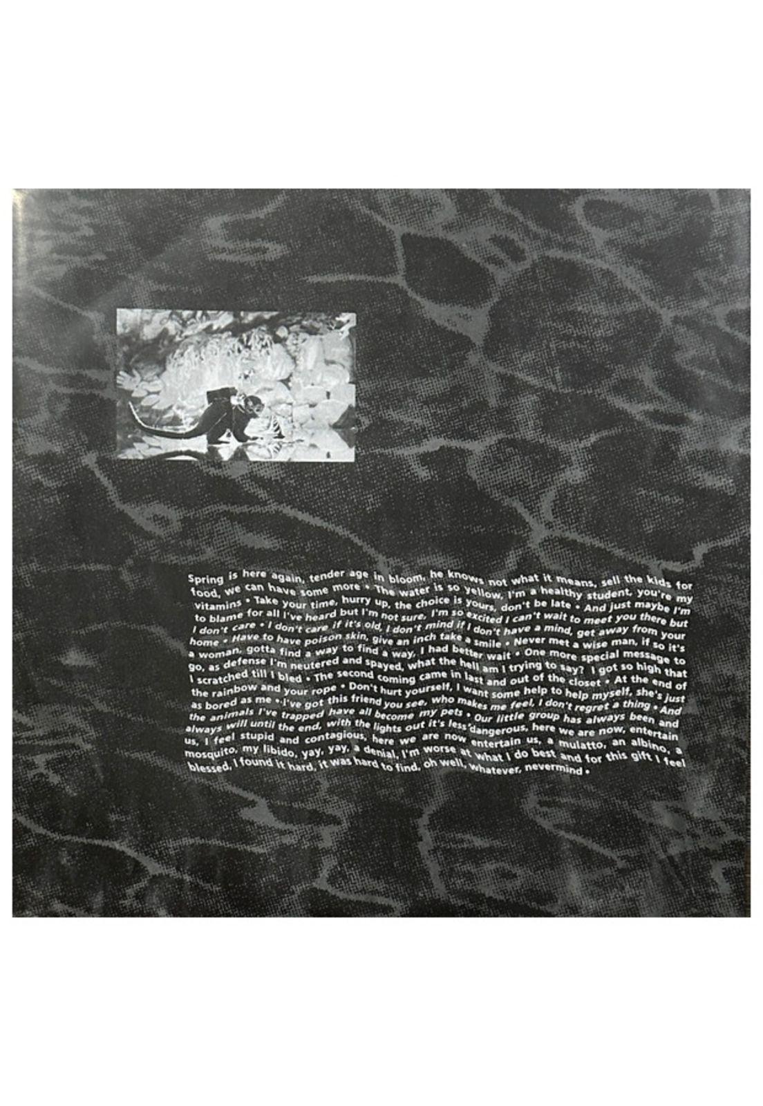 NIRVANA - NEVERMIND (EXCLUSIVE LTD EDITION) (METALLIC SILVER VINYL) | VINILO-2