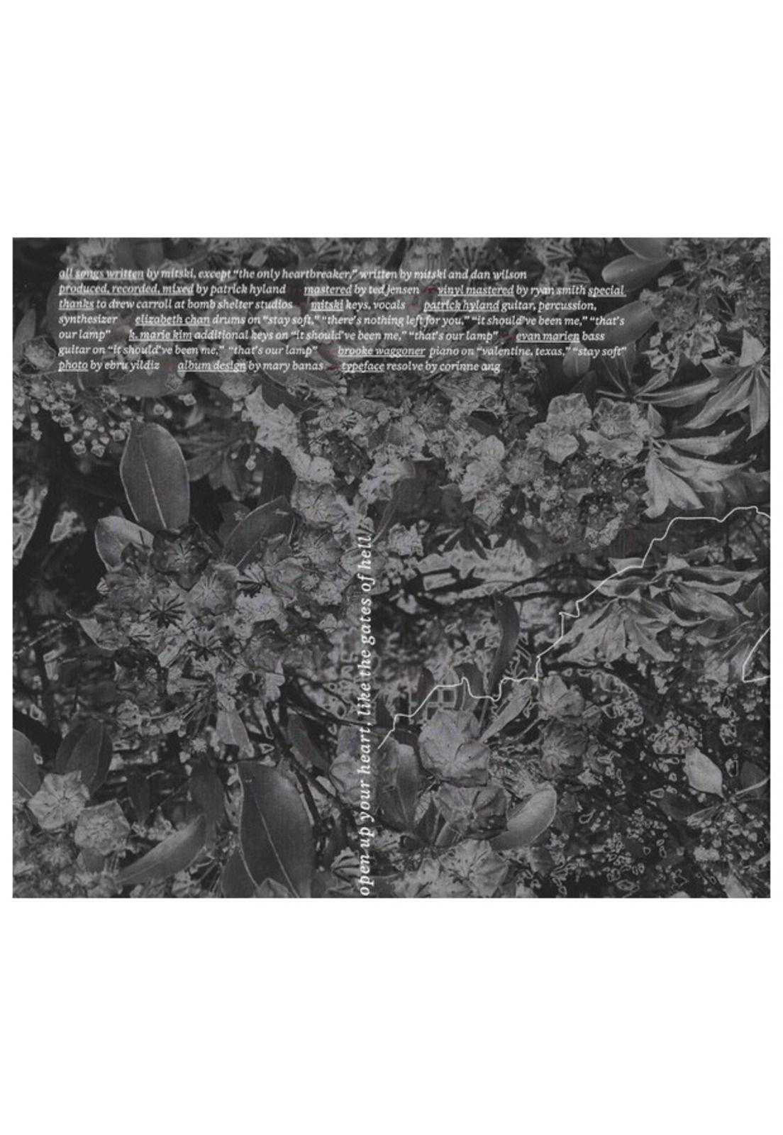 MITSKI - LAUREL HELL (DIGIPACK) | CD-6