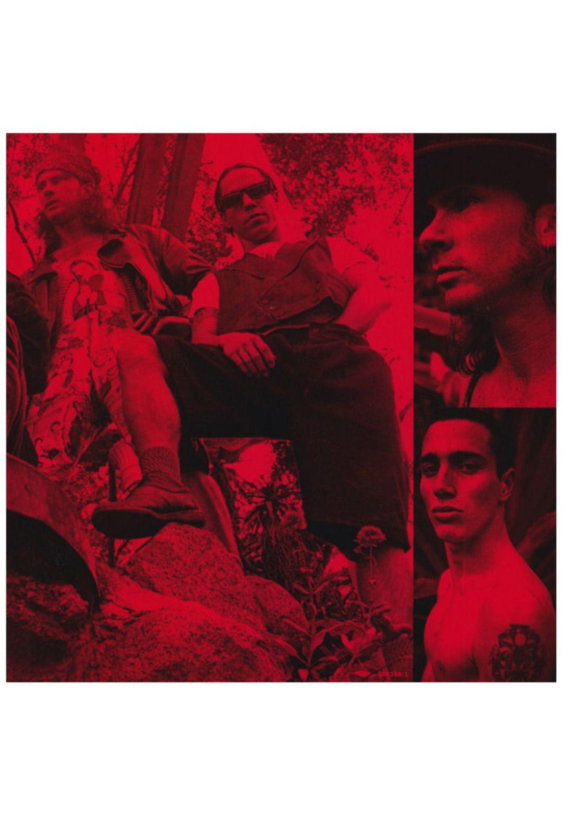 RED HOT CHILI PEPPERS - BLOOD SUGAR SEX MAGIK 2LP VINILO-6