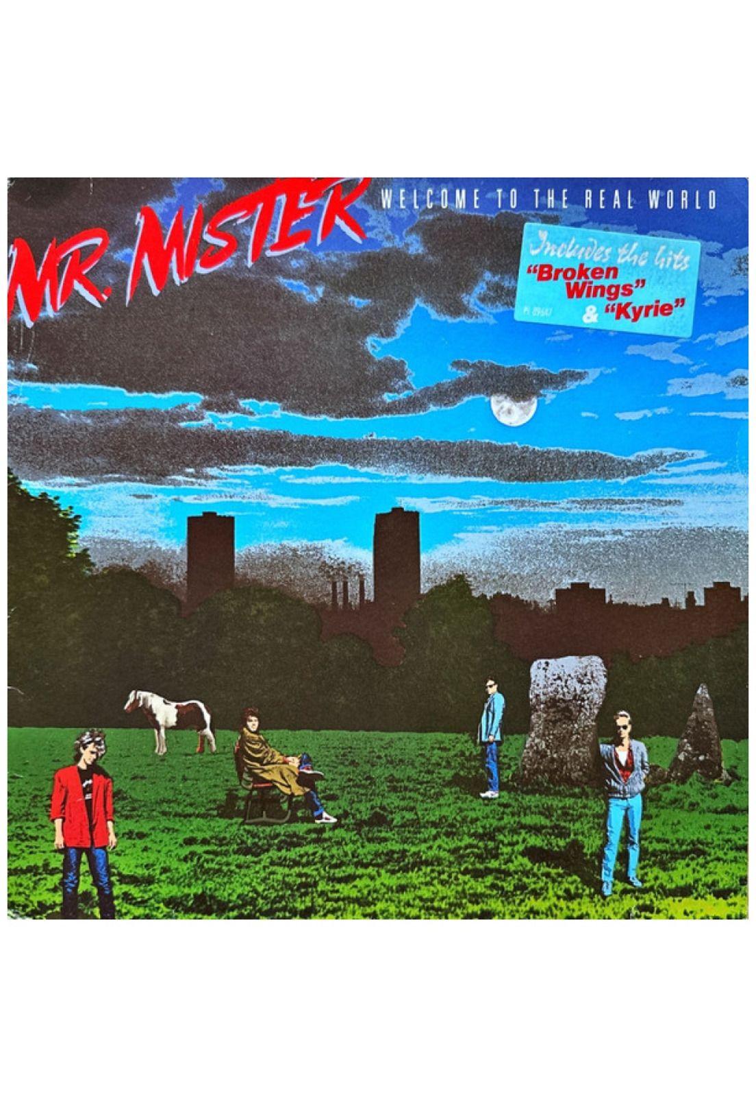 MR. MISTER - WELCOME TO THE REAL WORLD | VINILO USADO-6