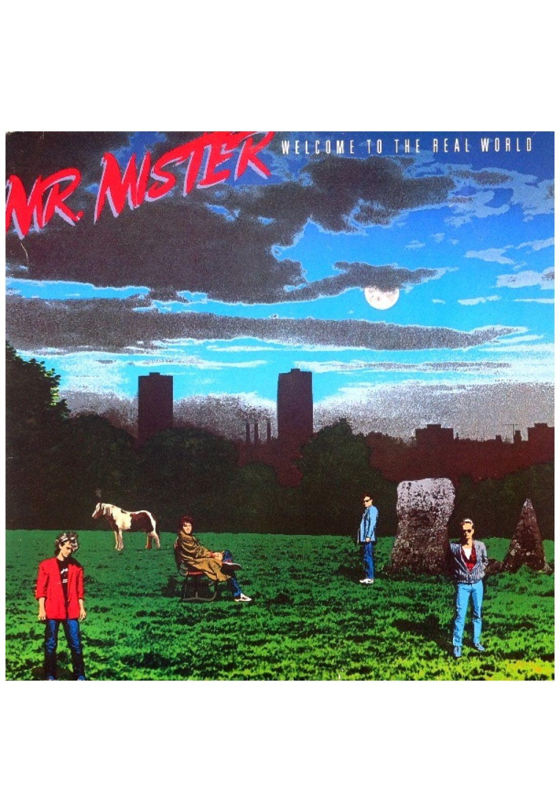 MR. MISTER - WELCOME TO THE REAL WORLD | VINILO USADO-8