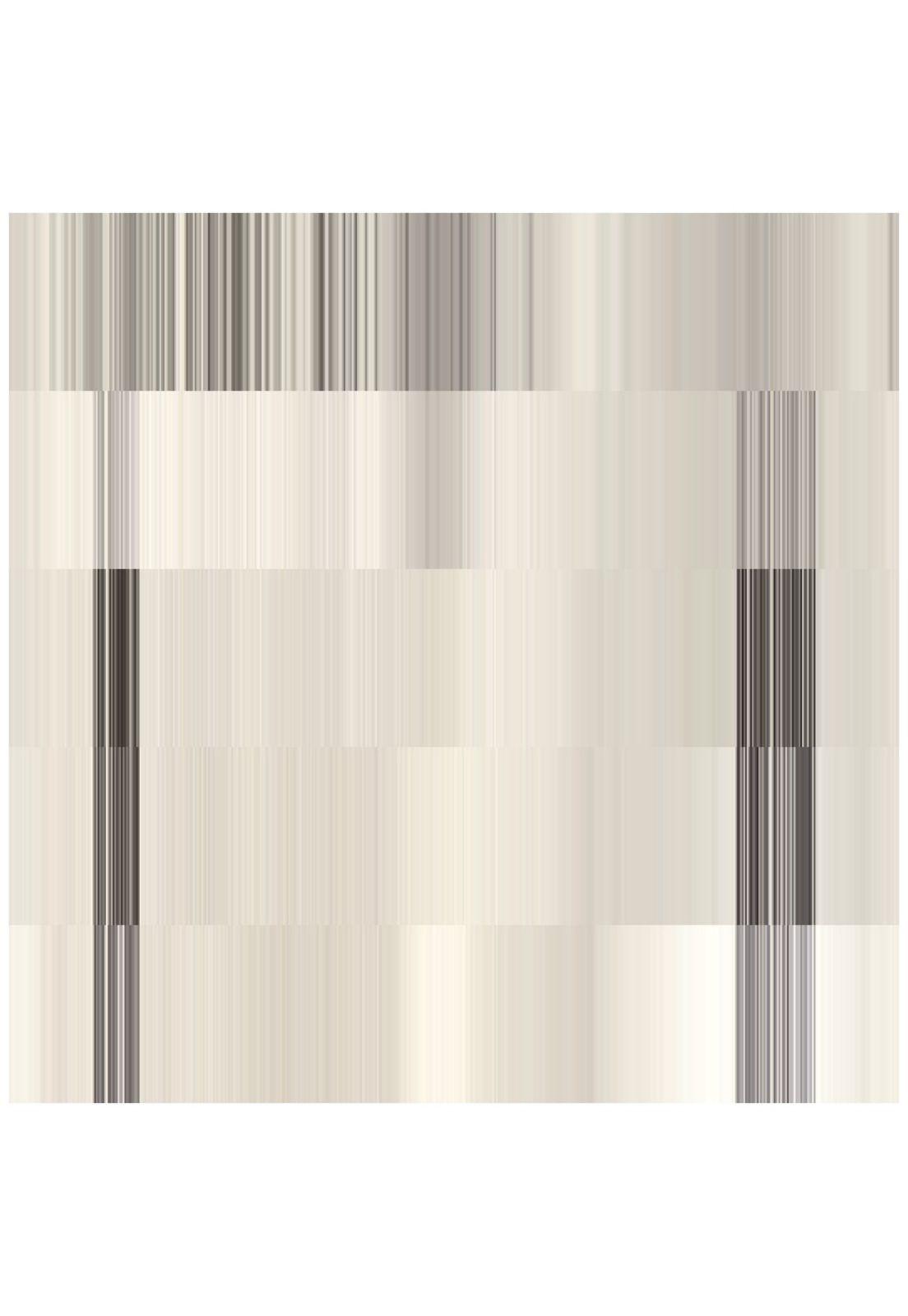 LED ZEPPELIN  - LED ZEPPELIN  | VINILO-5