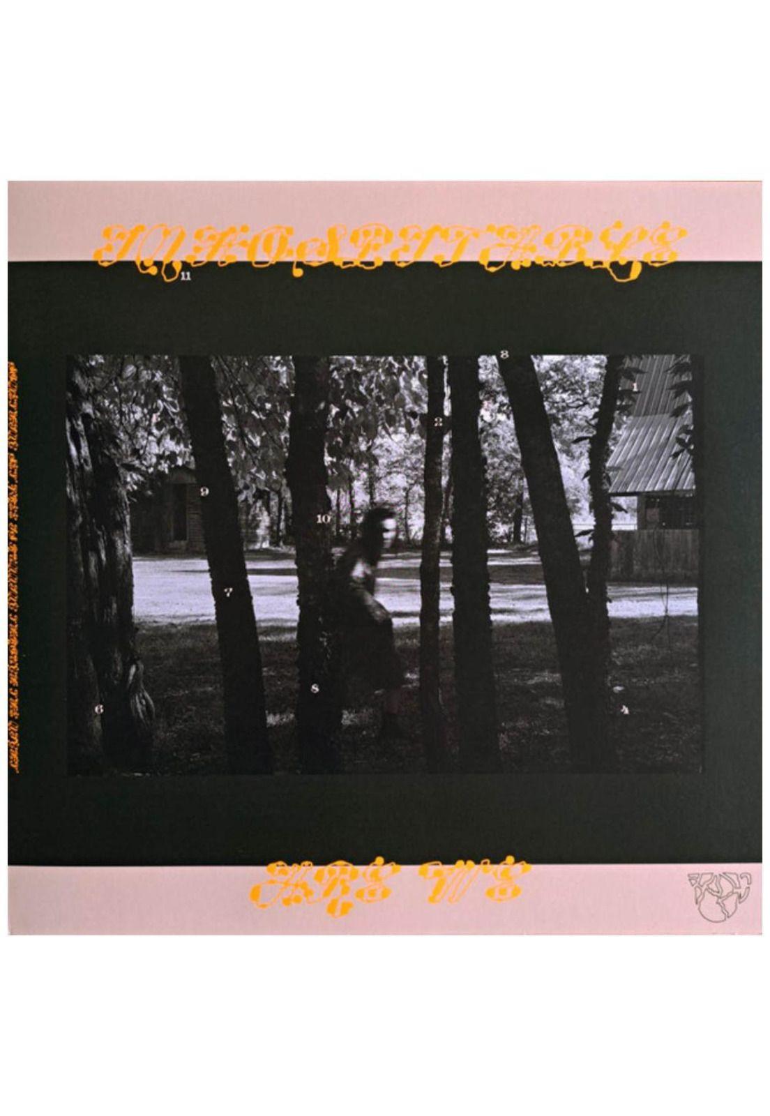 MITSKI - LAND IS INHOSPITABLE AND SO ARE WE | VINILO-2