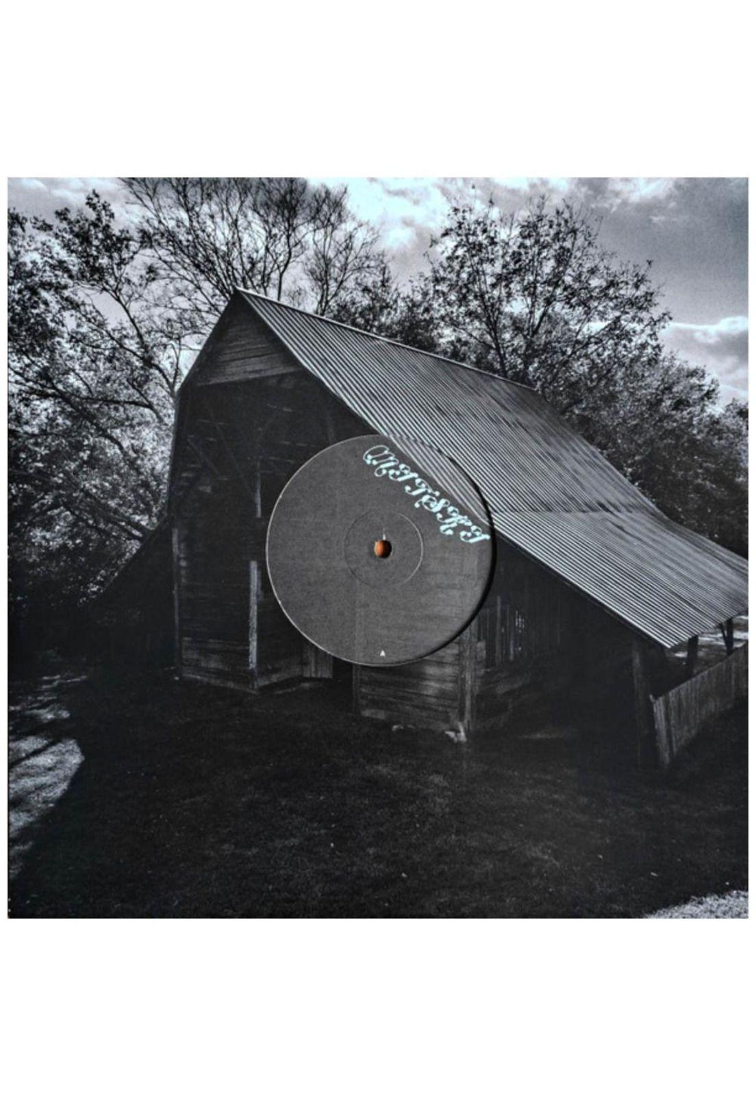 MITSKI - LAND IS INHOSPITABLE AND SO ARE WE | VINILO-4