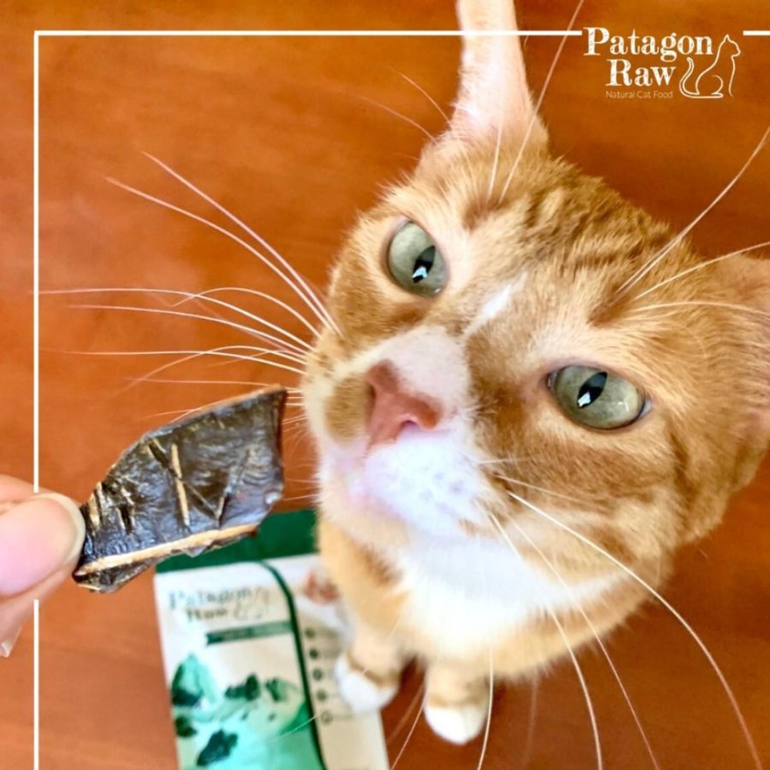 Patagon Raw Snack 100% Cordero Magallánico para Gatos-1