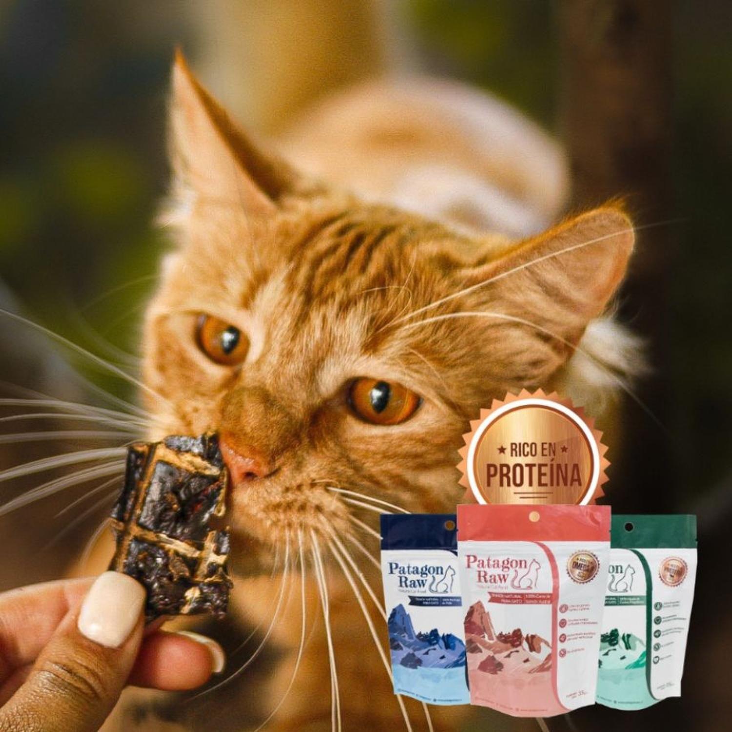 Patagon Raw Snack 100% Cordero Magallánico para Gatos-3