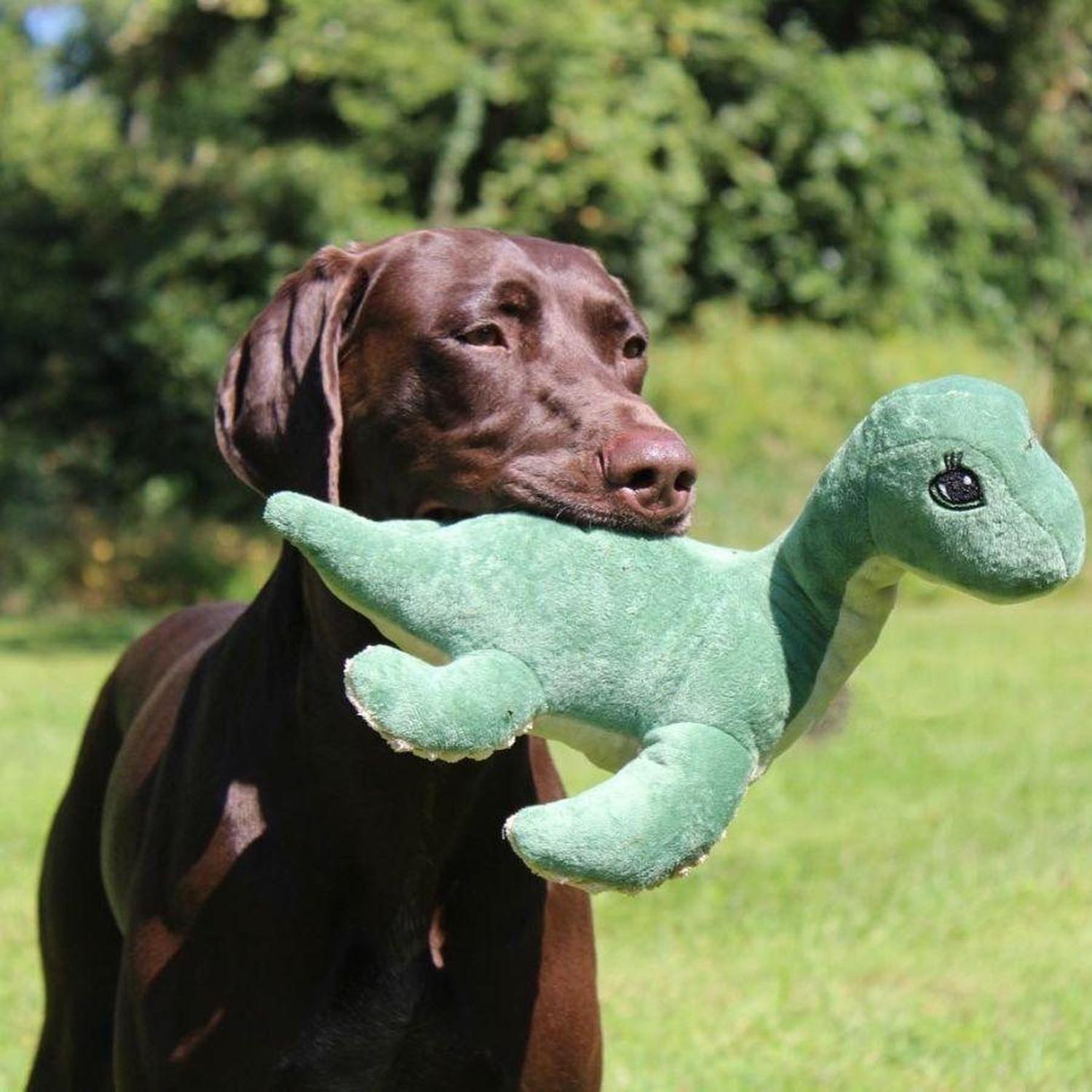 Peluche Nessie con Sonido-3
