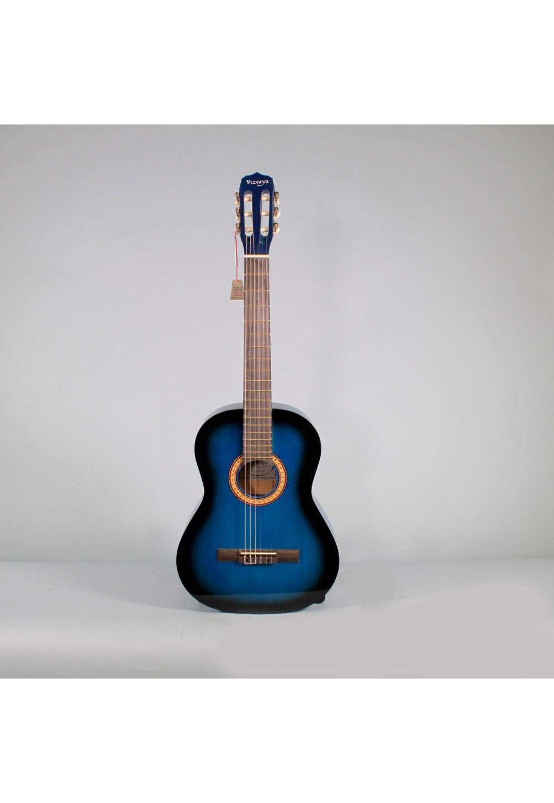Guitarra acústica Vizcaya ARCG44 - Dark Blue Sunburst-1