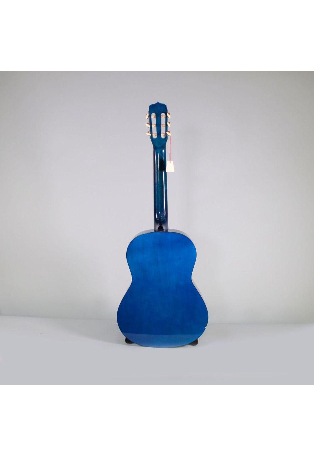 Guitarra acústica Vizcaya ARCG44 - Dark Blue Sunburst-2