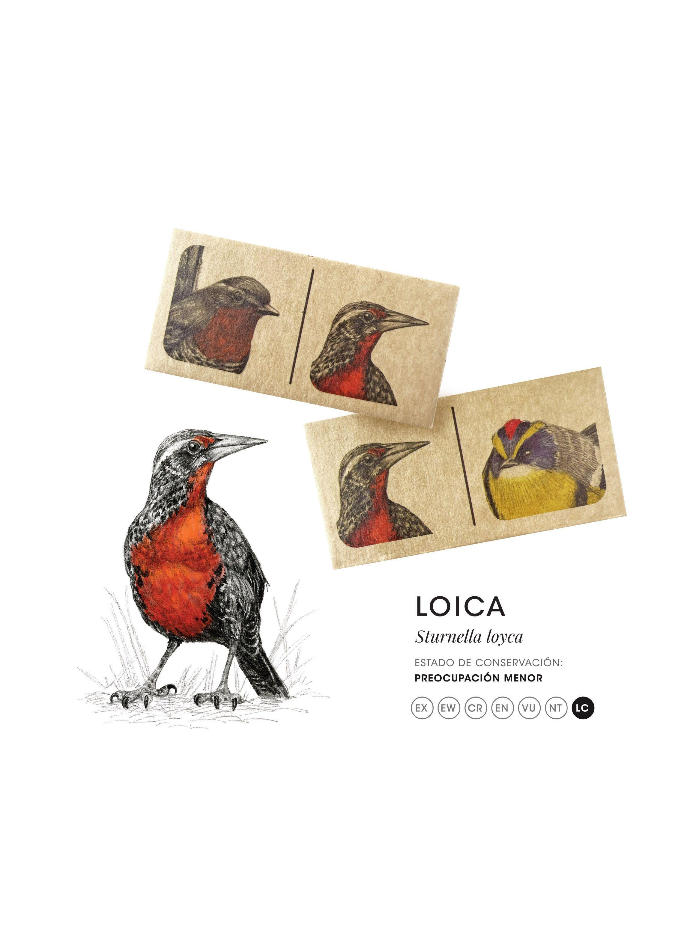 Dominó de Aves Nativas Chilenas-3