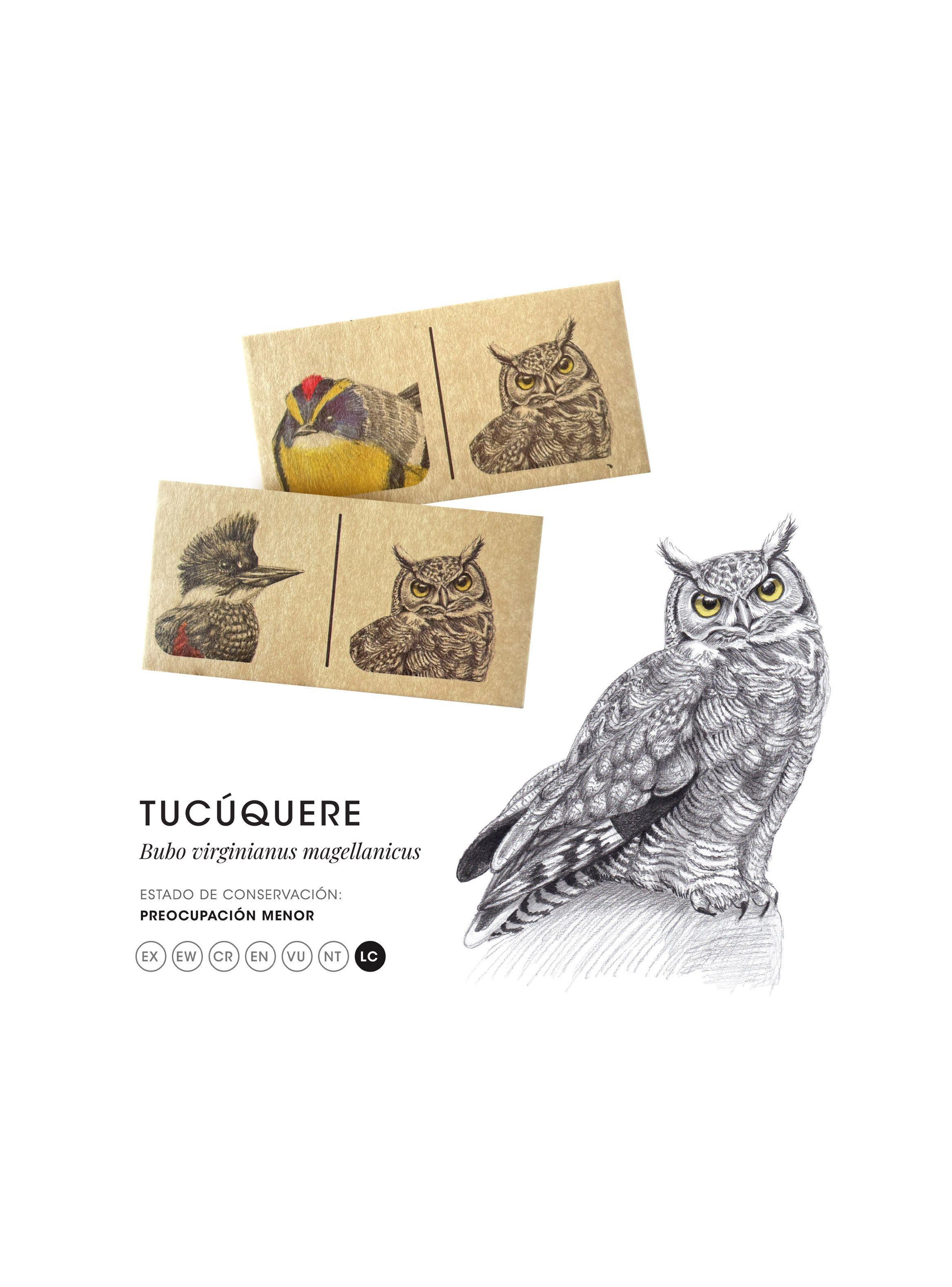 Dominó de Aves Nativas Chilenas-4