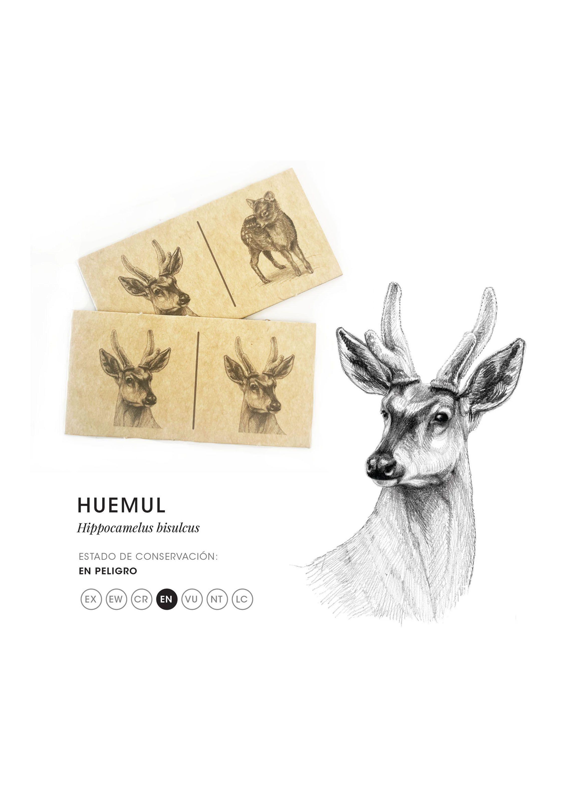 Dominó de Mamíferos Nativos Chilenos-2