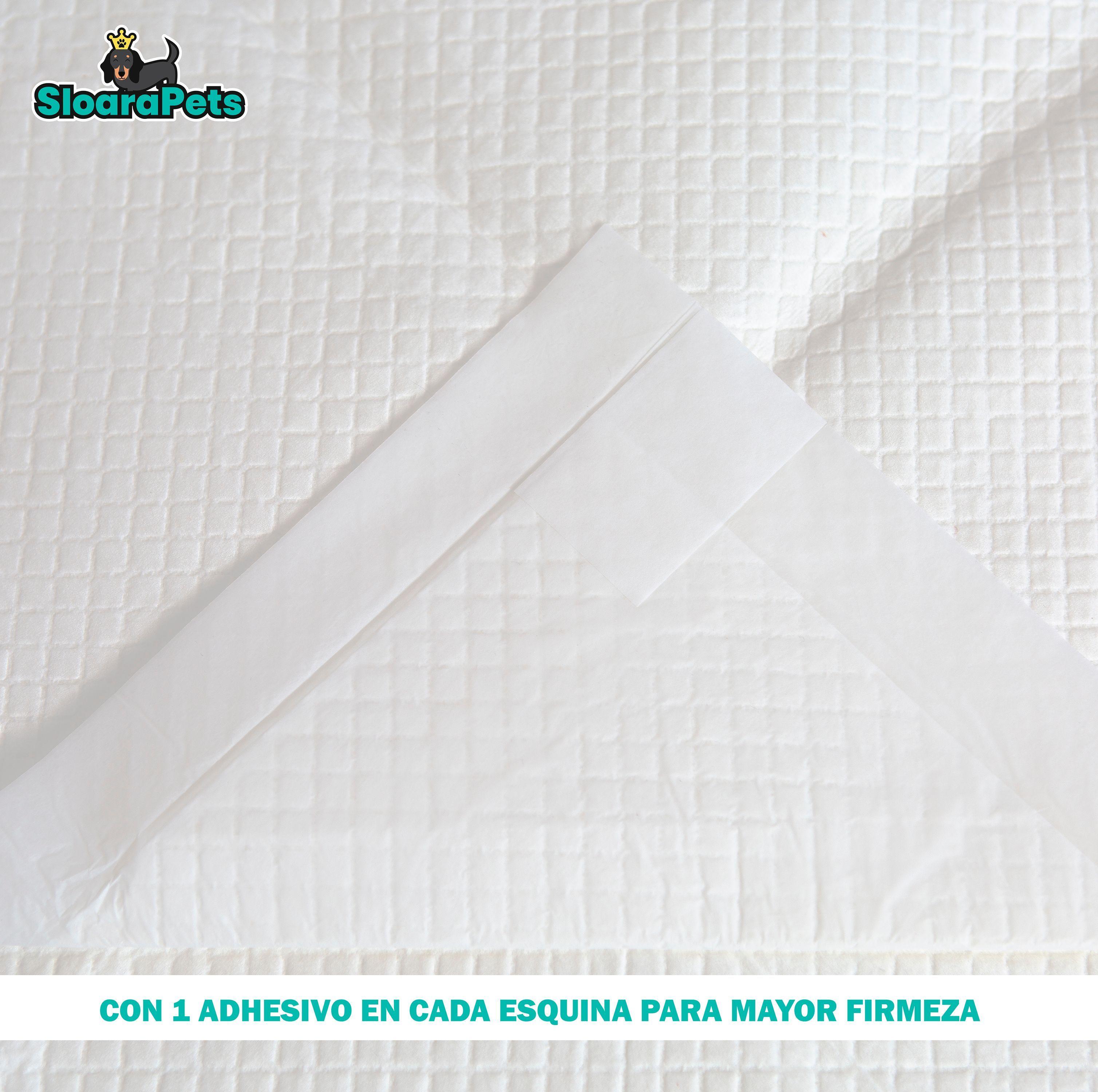 30 Sabanillas Pañales De Entrenamiento Perros Grande 90x60cm-2