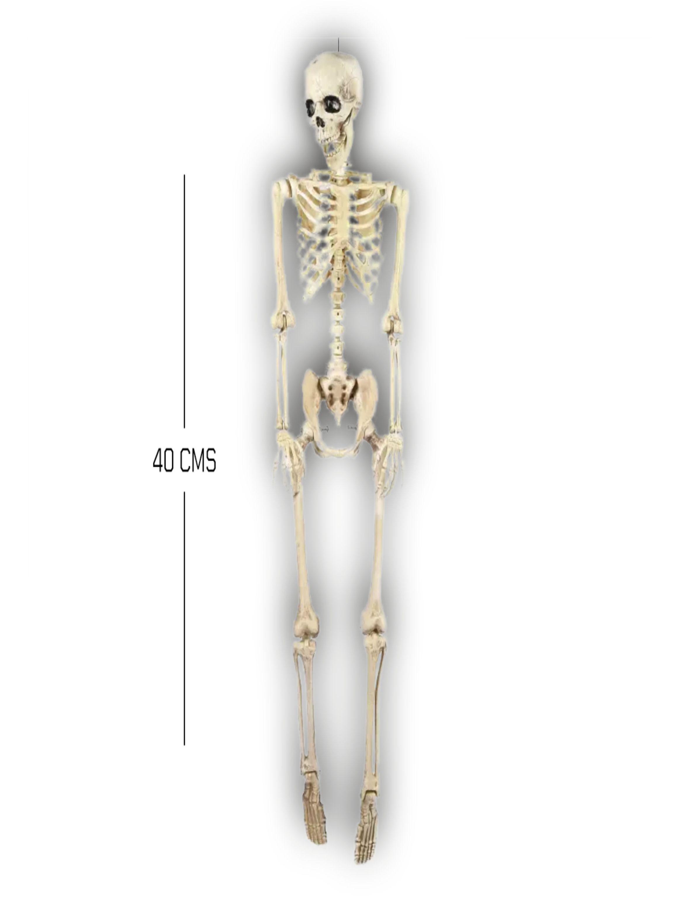 ESQUELETO ADORNO 40CMS-3