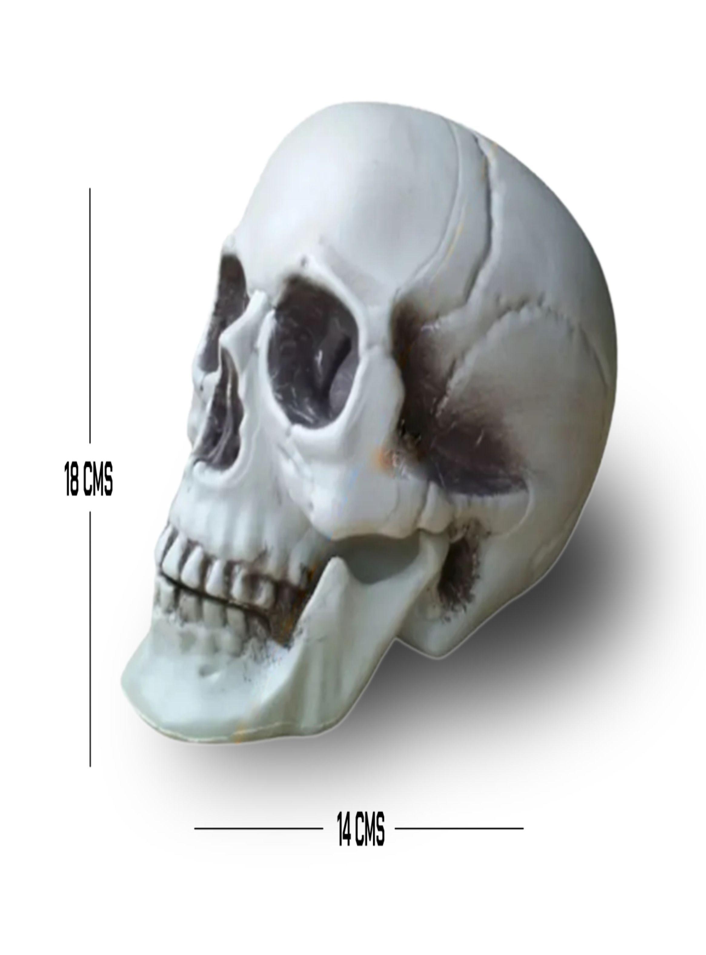 CALAVERA HUMANA DECORACIÓN 18cm-2
