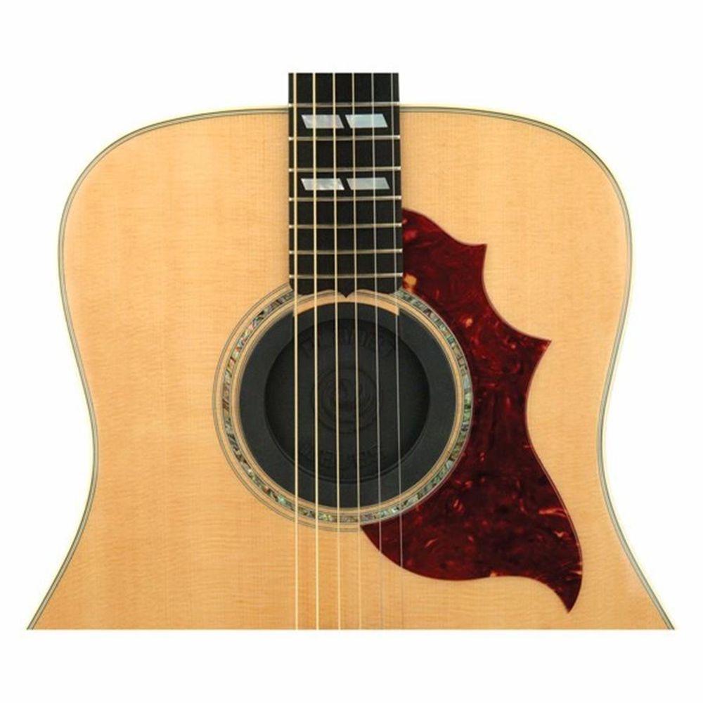 Planet Waves Tapa Guitarra Feedback Supressor-3