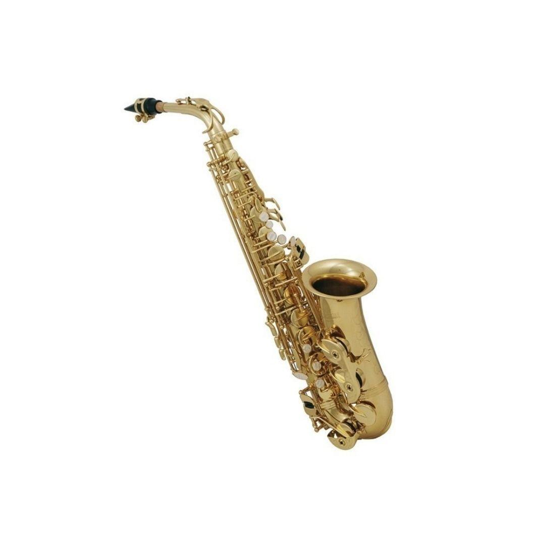 Roy Benson Saxo AS-202 estudiante alto mi bemol-1