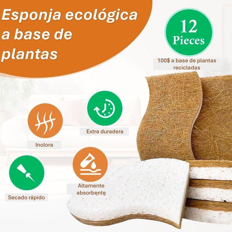 12 Esponjas De Cocina Naturales Celulosa Y Coco Biodegradable-3