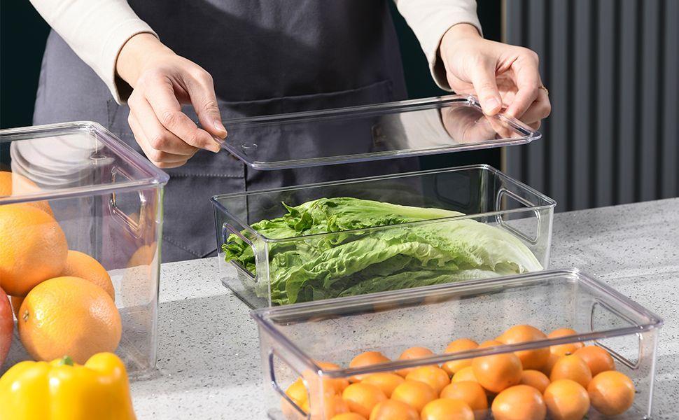 Bandeja Para Refrigerador Con Tapa 1 Pieza Organizadora-4
