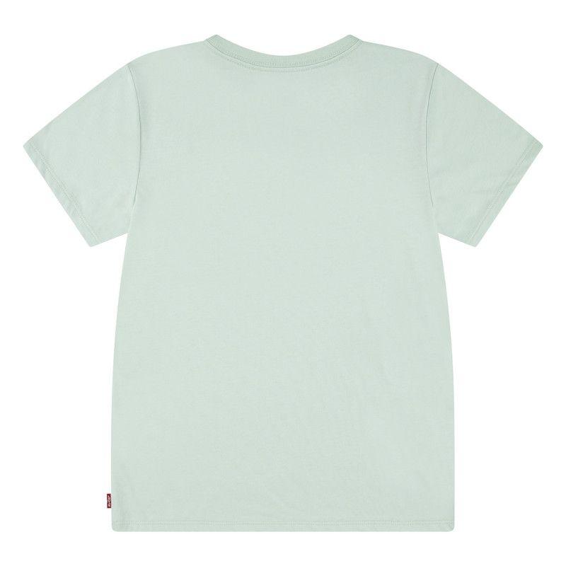 Polera Niña MC Batwing Verde Levis 41K825-C11-S-1