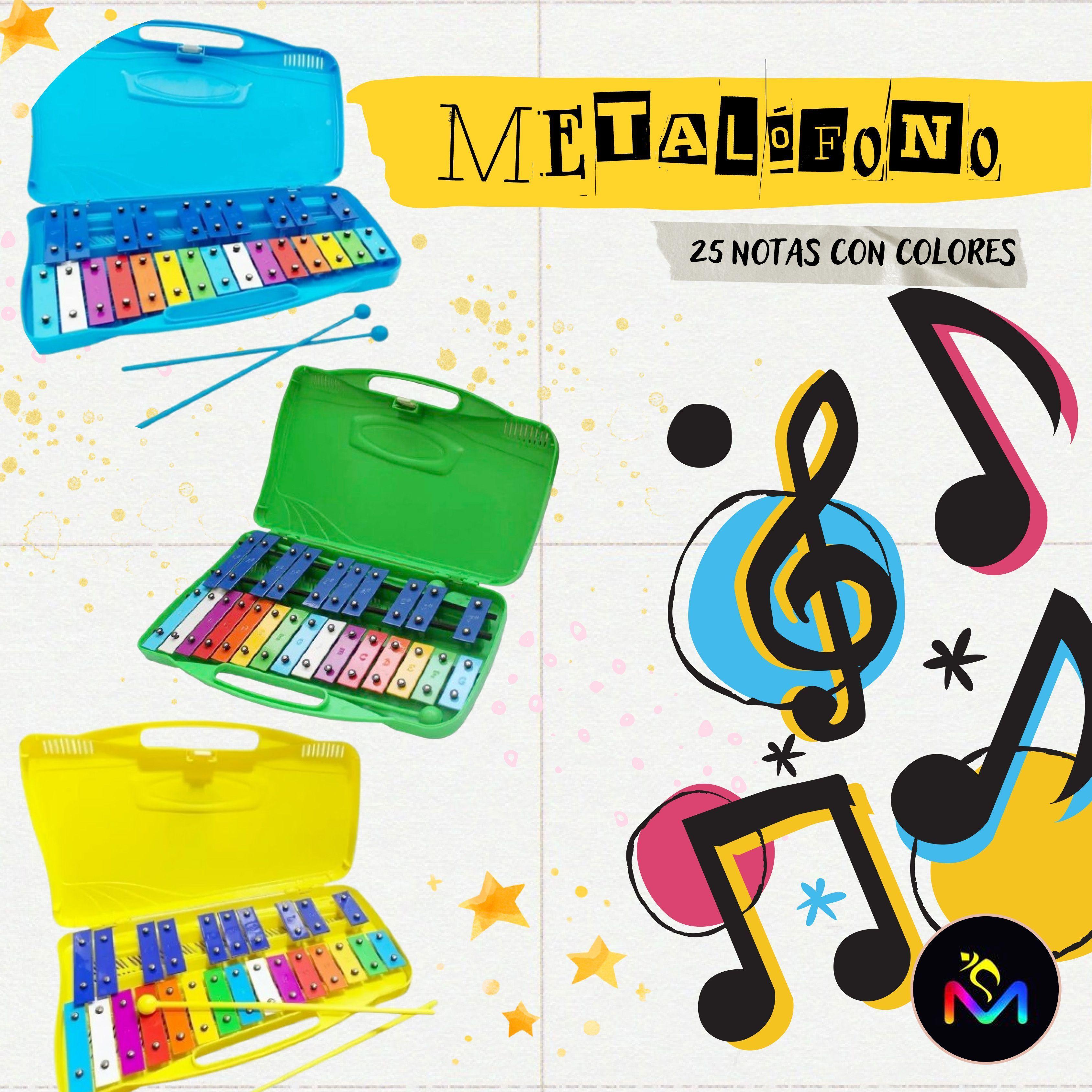 Metalofono 25 Notas Caja Plástica Con Notas Colores-5