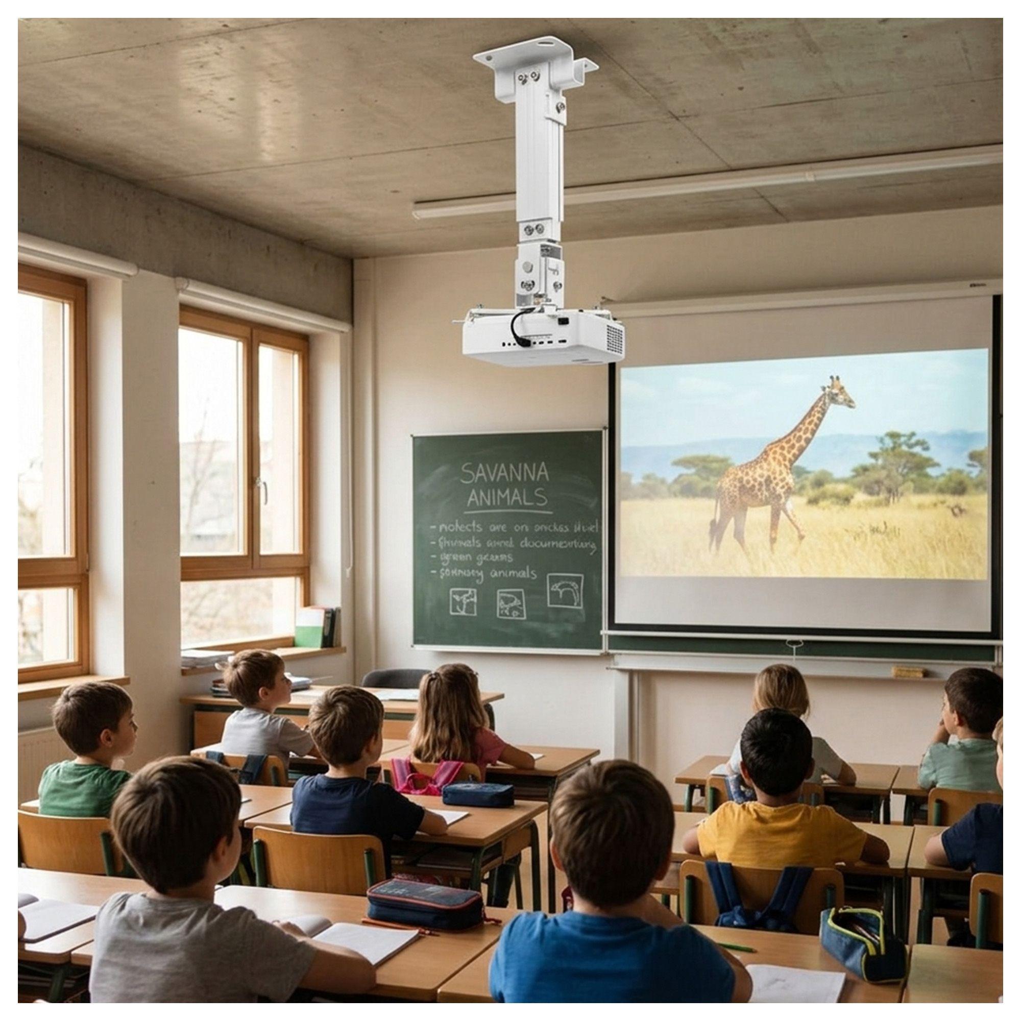 Base Soporte Proyector PM2635 Techo Ajustable 21 kg-1