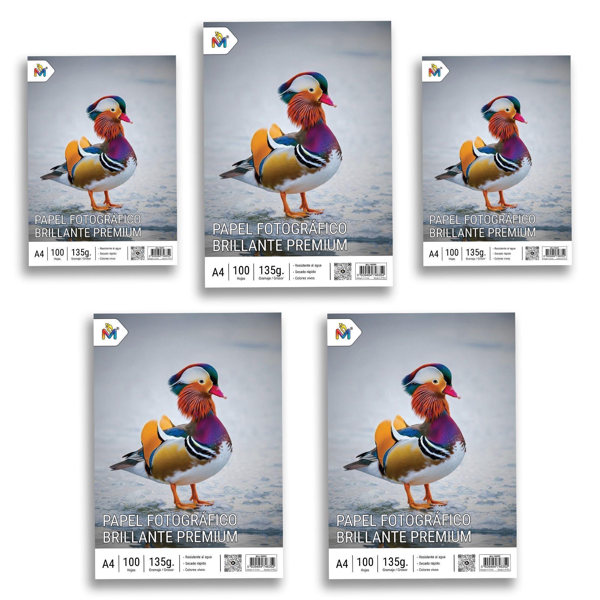 5x Papel Fotográfico A4 135gr Inkjet Premium 100 Hojas c/u Inkjet-4