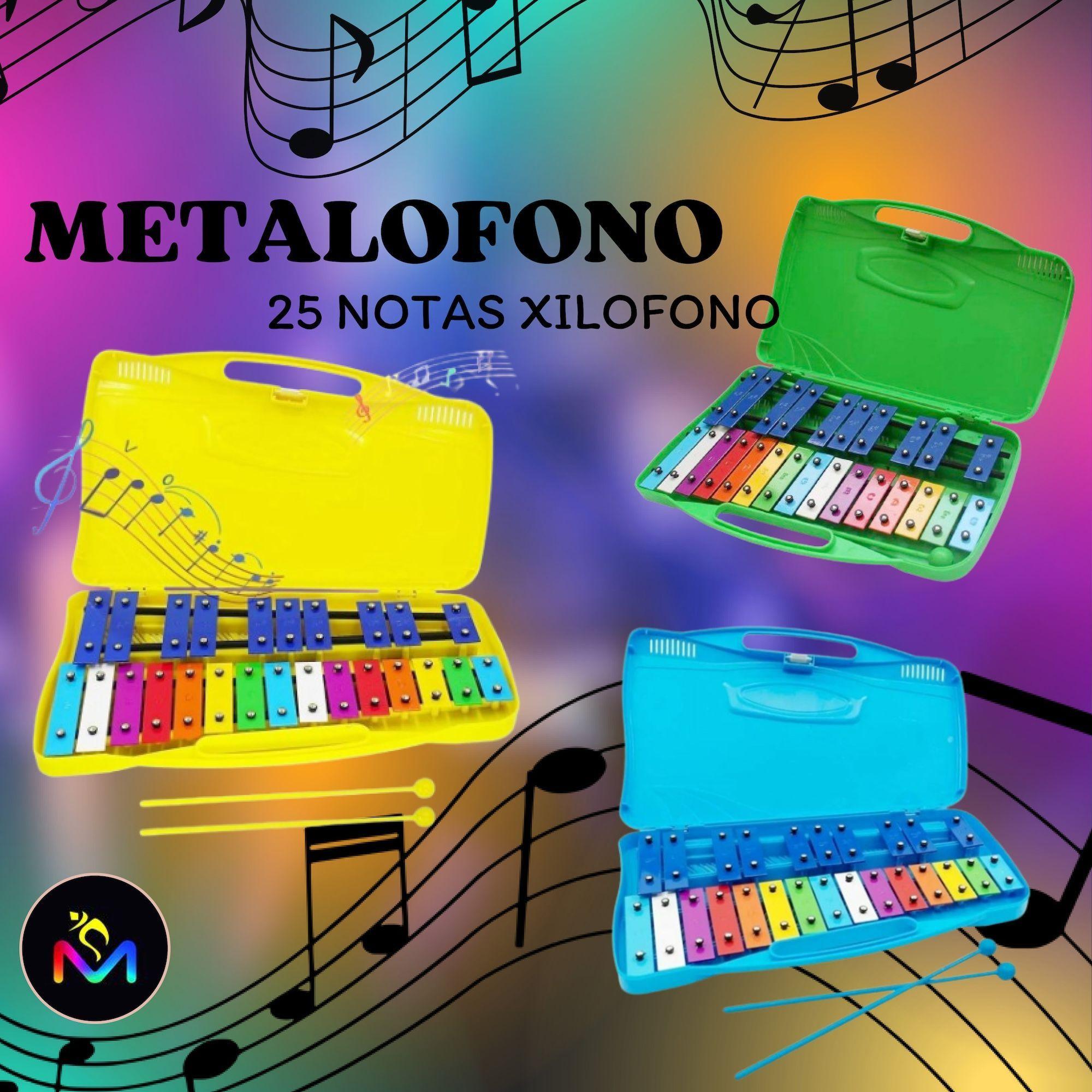 Metalofono Cromático De 25 Placas Colores Aluminio-3
