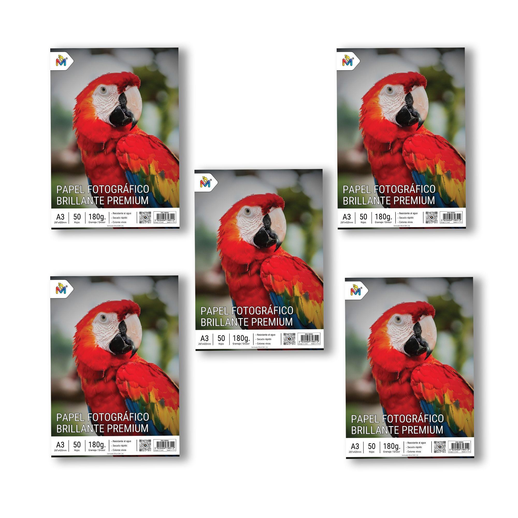 5x Papel Fotográfico A3 180g - 250 Hojas Gran Formato Pro-4