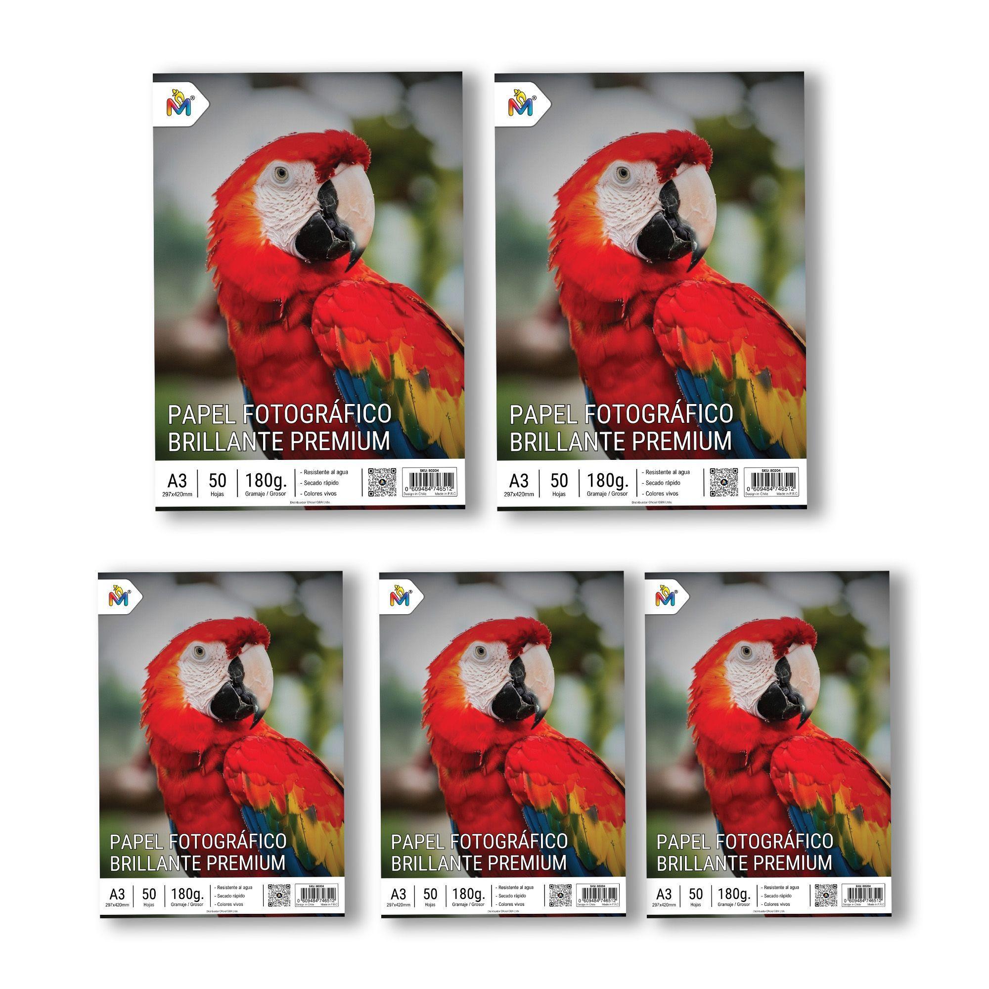 Pack 5 Papel Foto Brillante A3 - 250 Hojas 5760 Dpi Luxury-2
