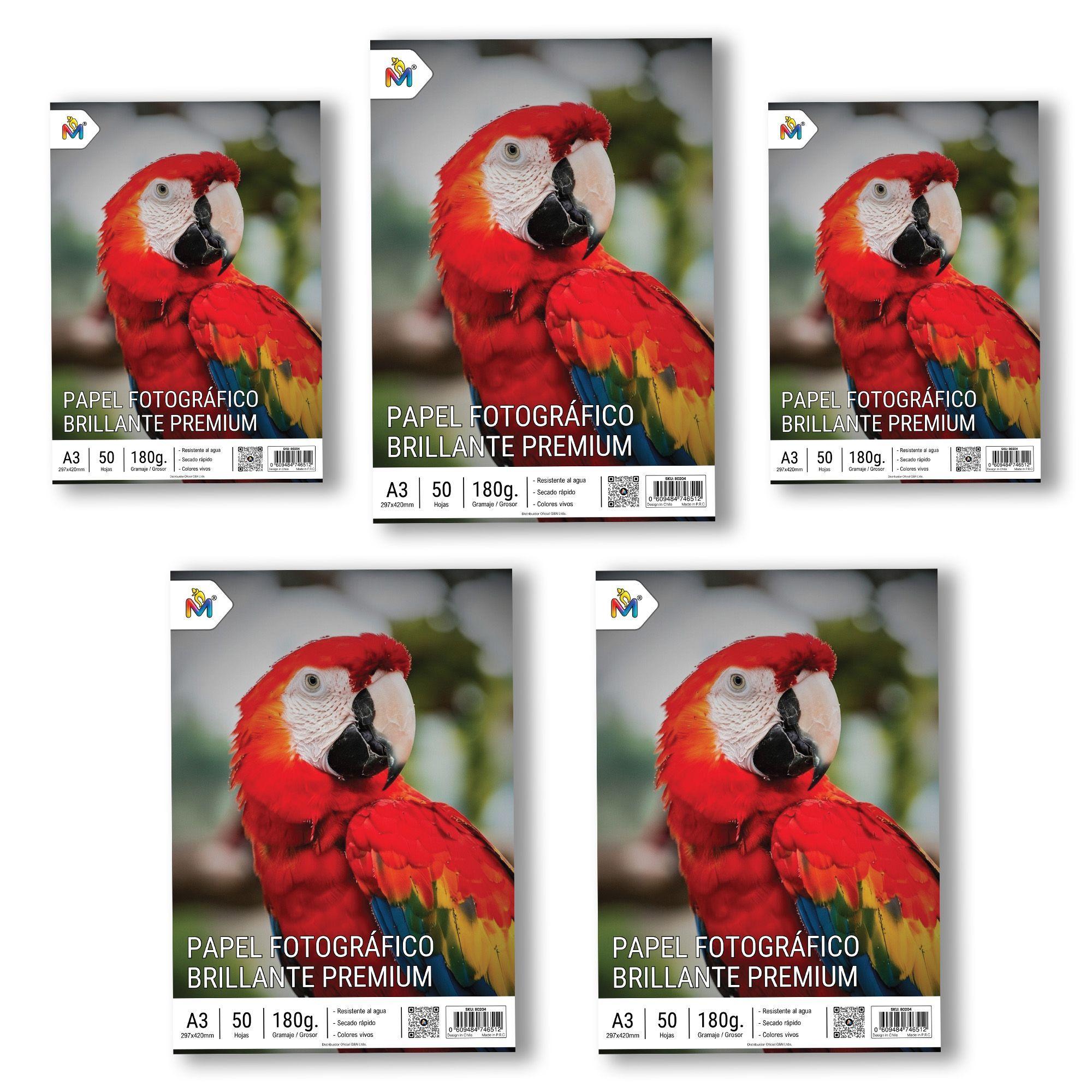 Pack 5 Papel Foto Brillante A3 - 250 Hojas 5760 Dpi Luxury-3