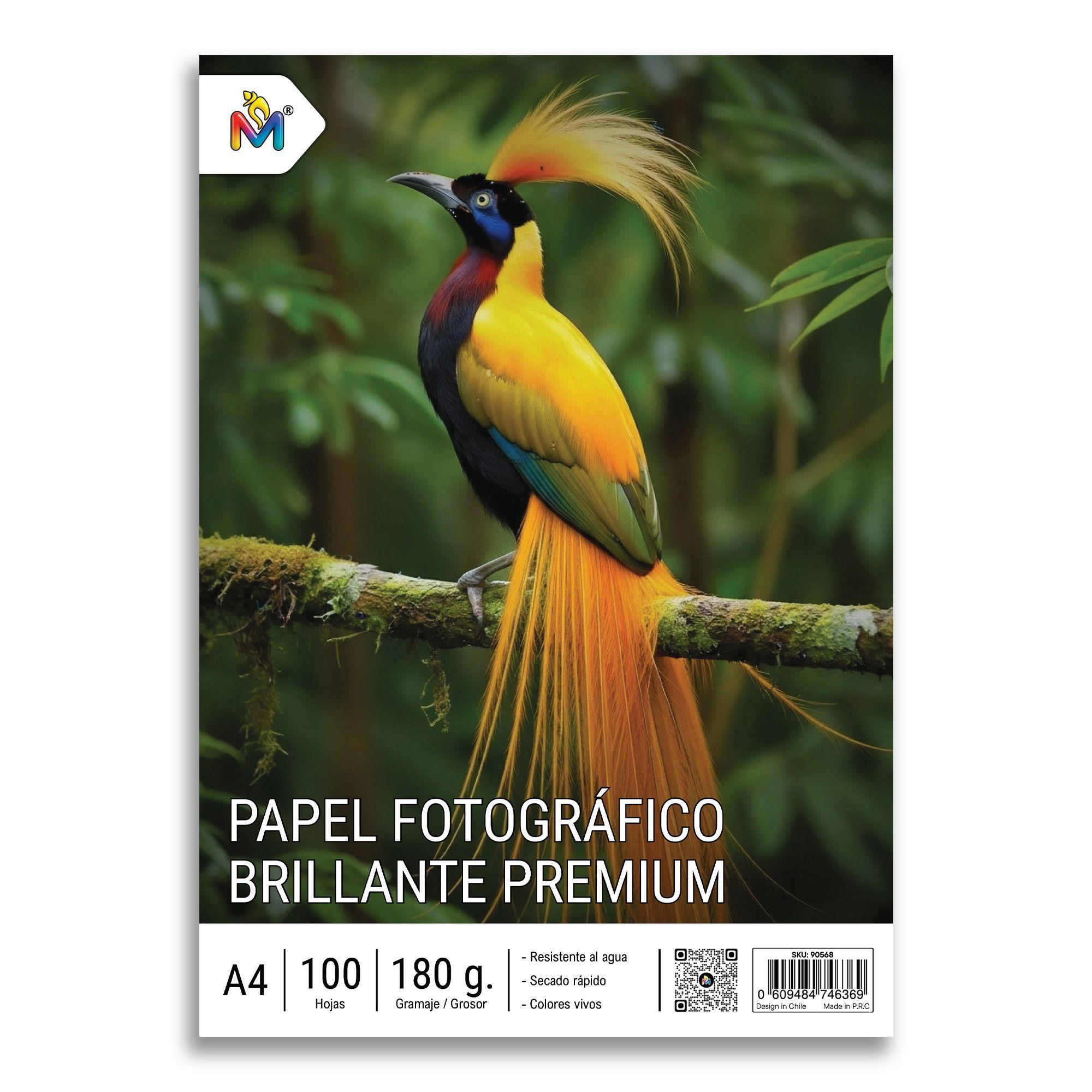 Papel Fotográfico Glossy Brillante 100 Hojas A4 180gr-0