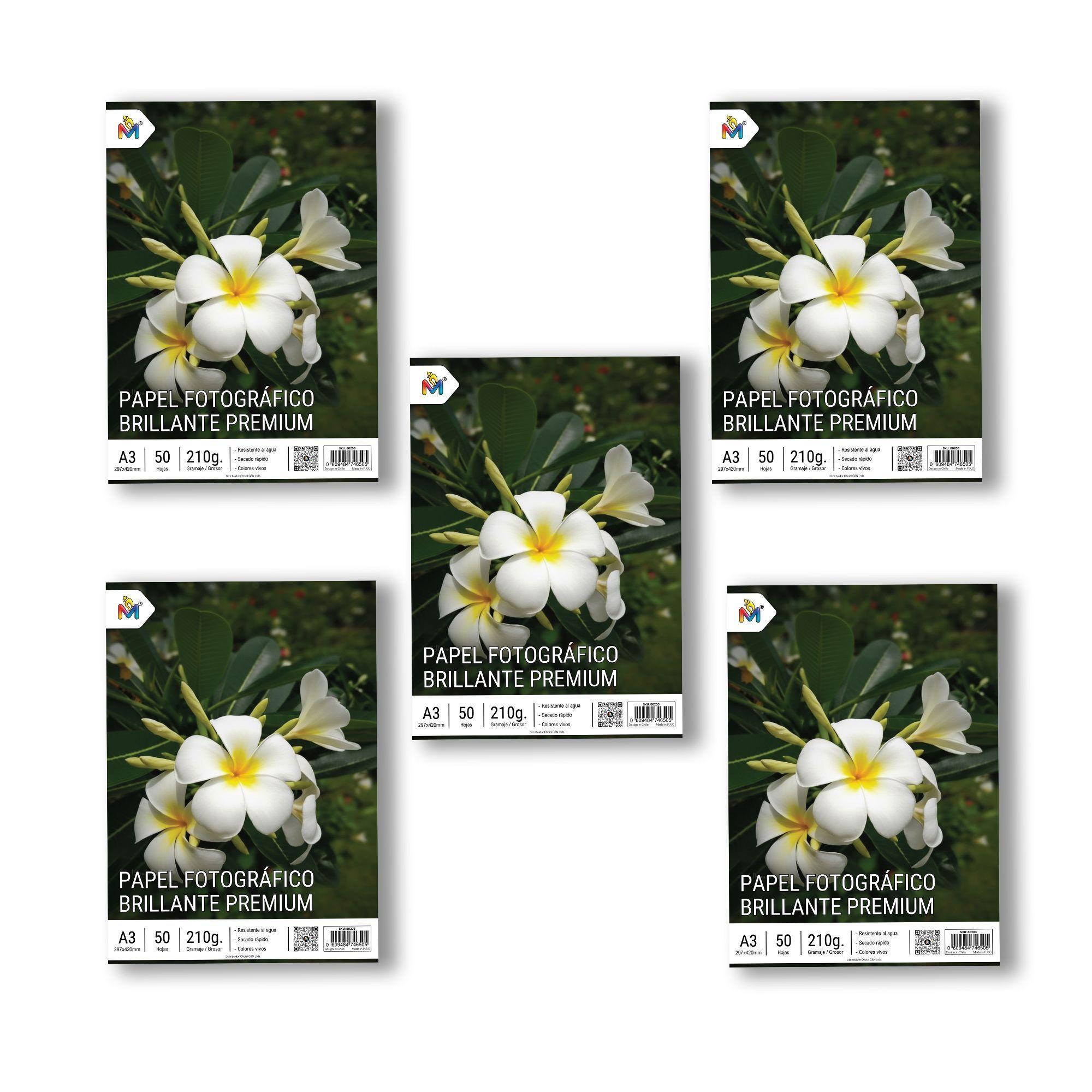 250 Hojas Papel Foto A3 210g - Pack Ahorro Gran Formato-2