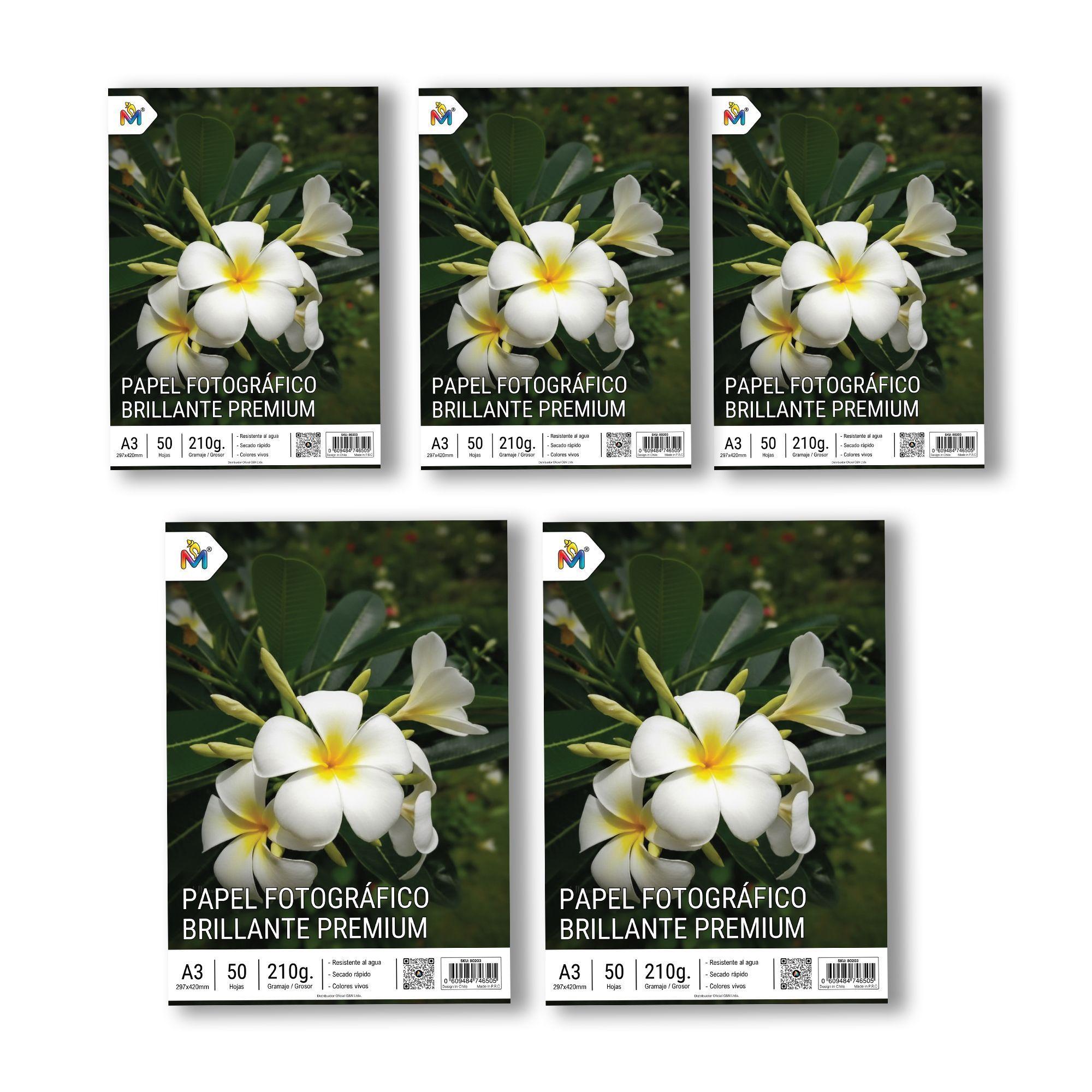 250 Hojas Papel Foto A3 210g - Pack Ahorro Gran Formato-3