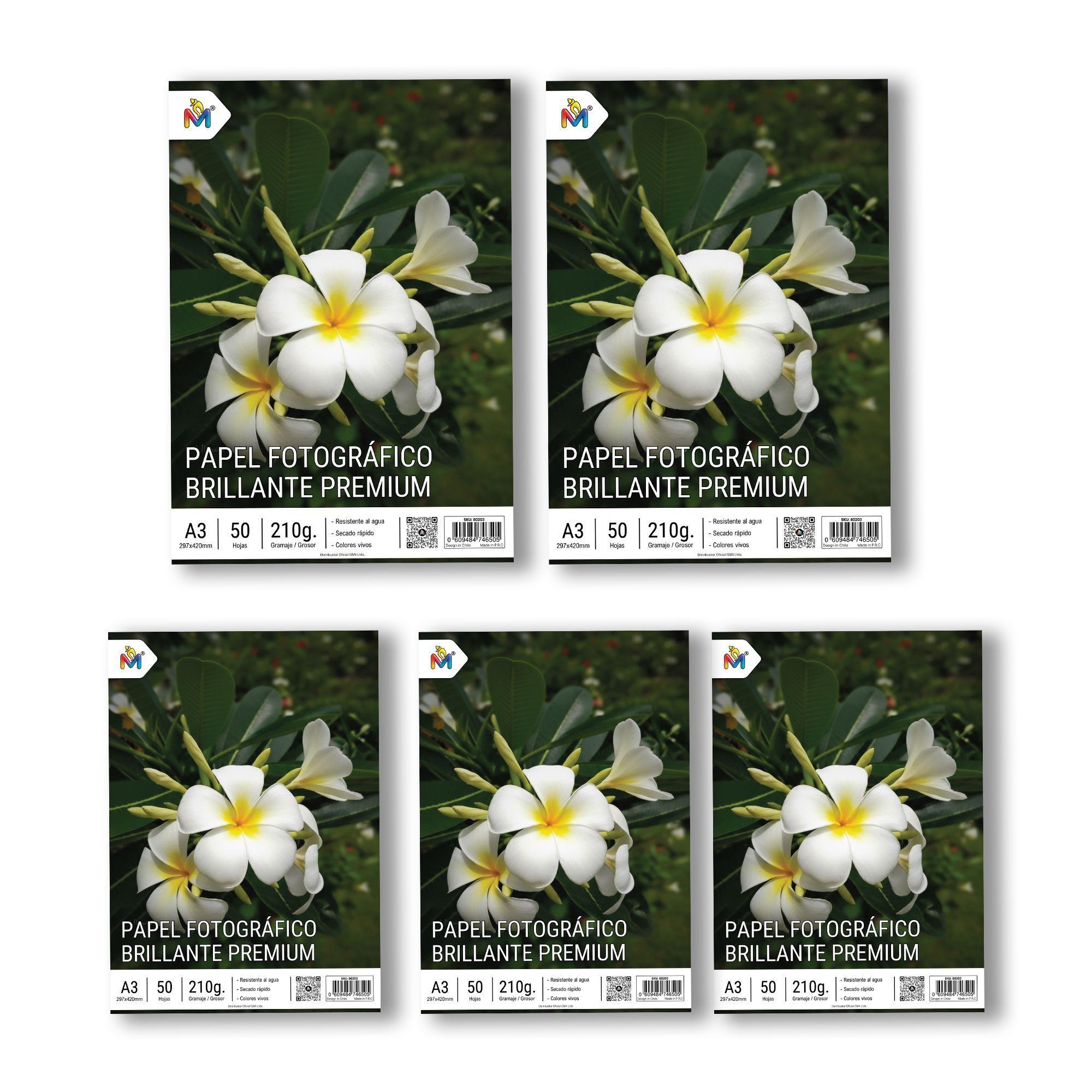 250 Hojas Papel Foto A3 210g - Pack Ahorro Gran Formato-4