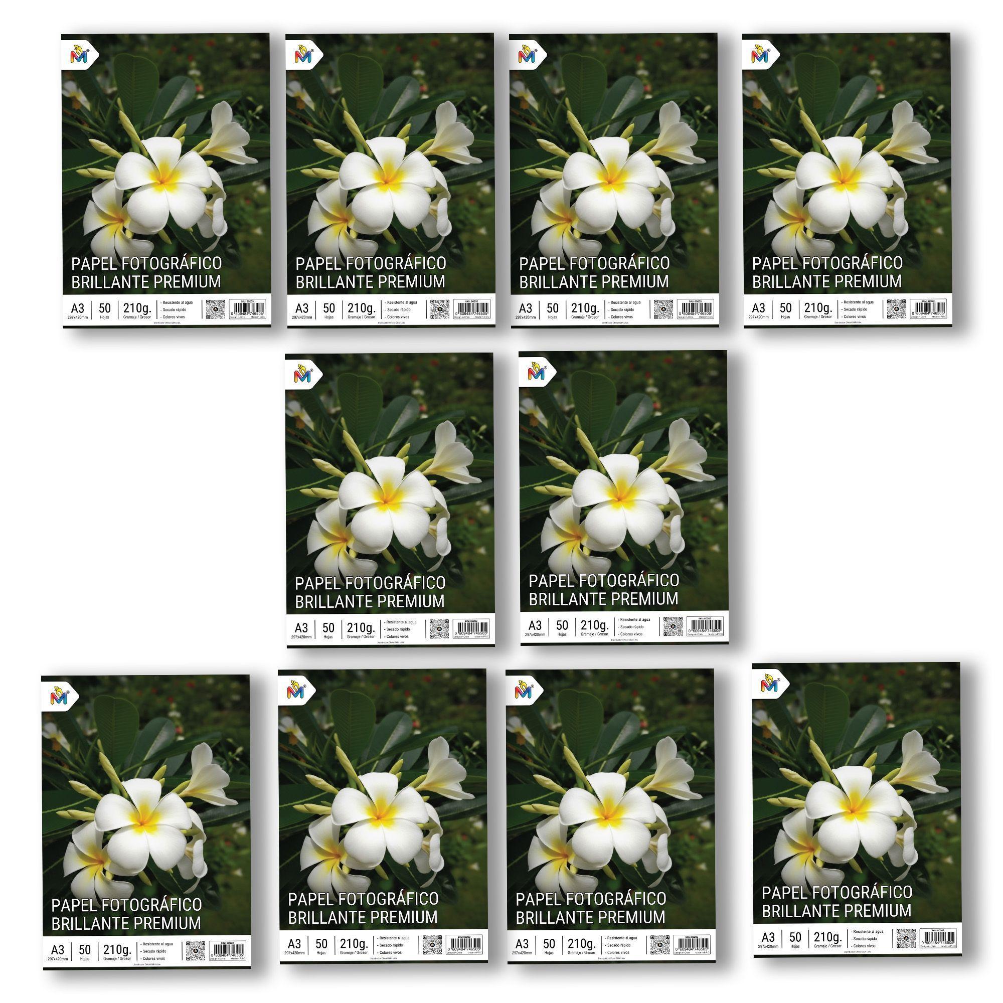 500 Hojas Papel Foto A3 210g - Mayorista Gran Formato-2