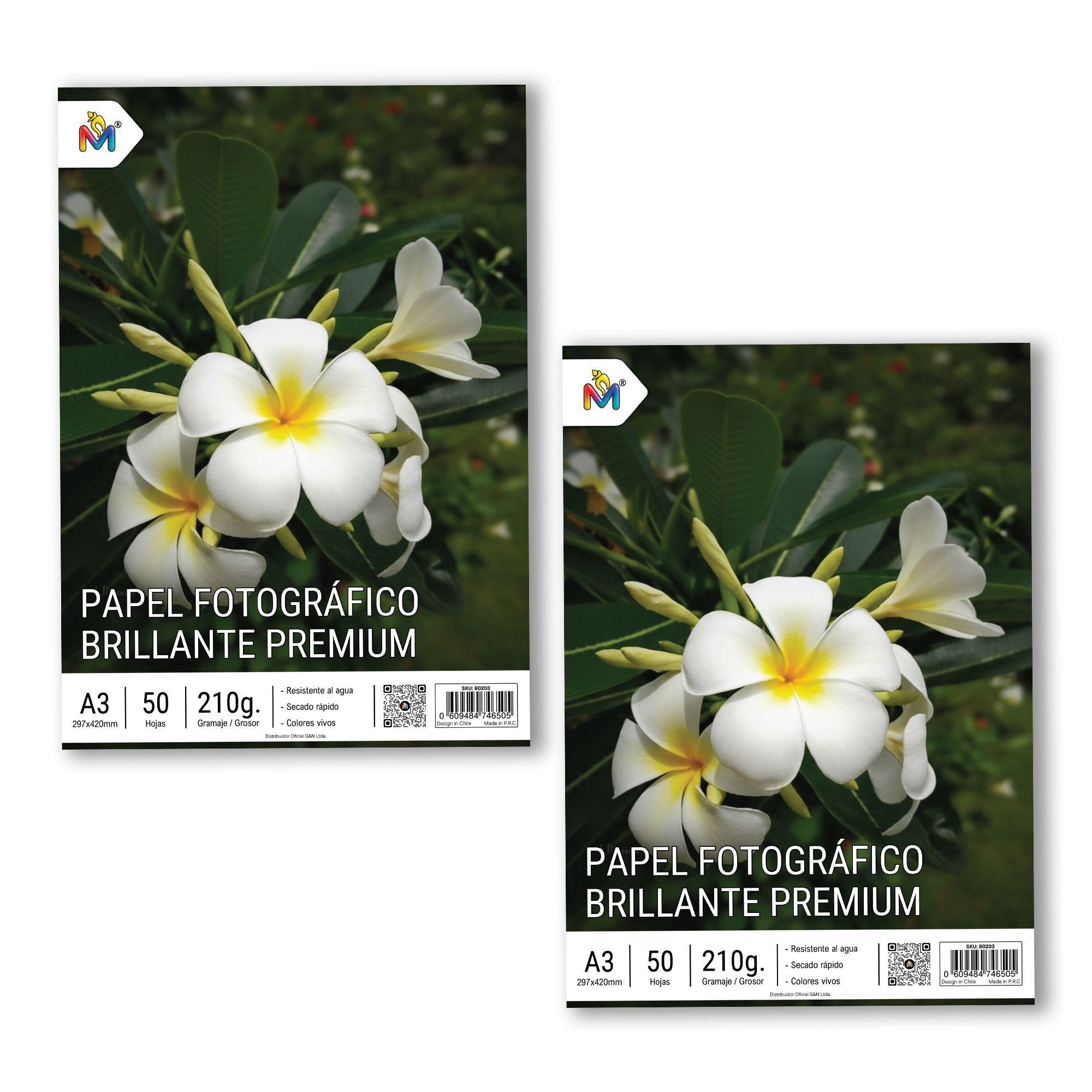 100 Hojas Papel Foto A3 210g - Pack Doble Gran Formato-4