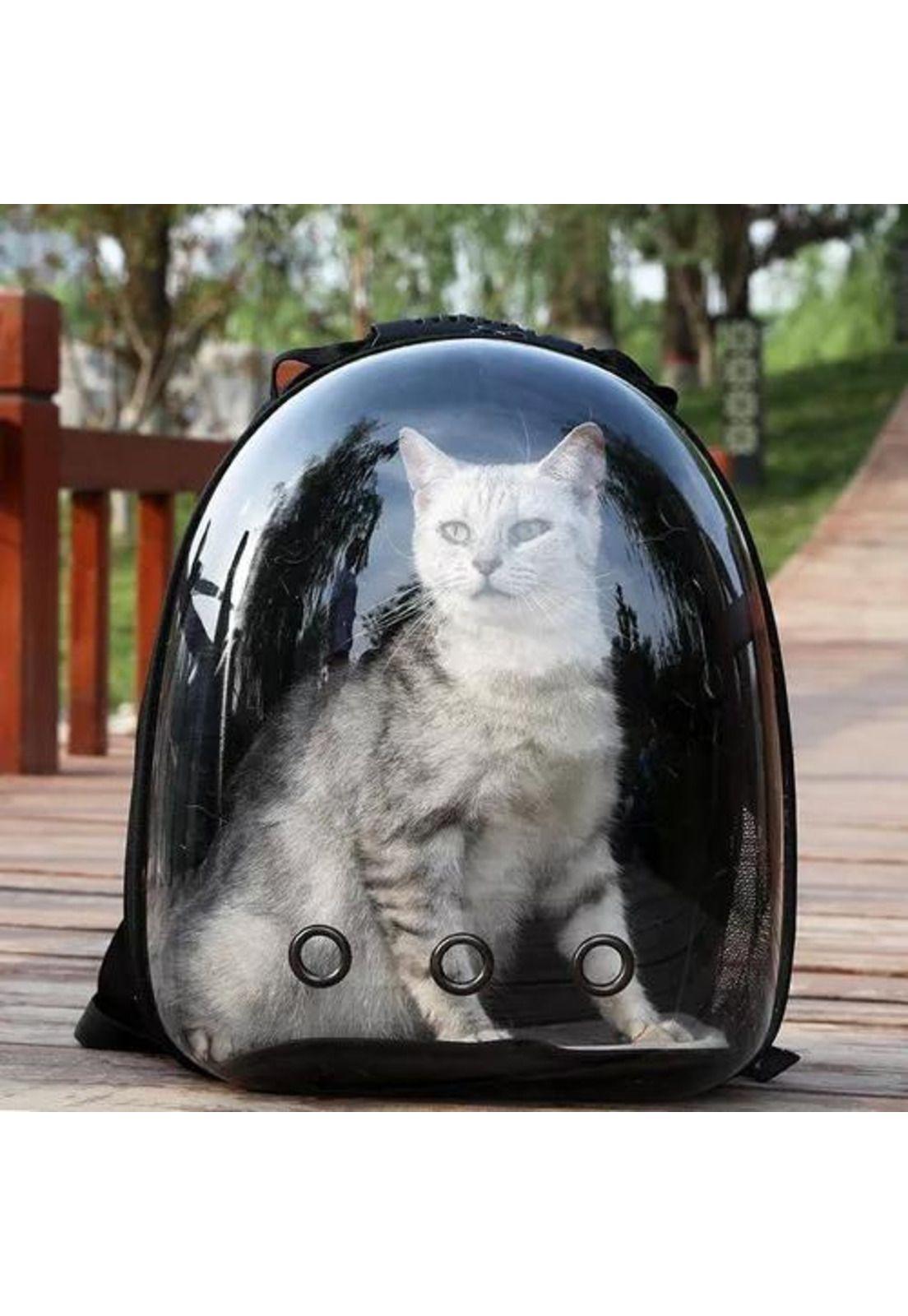 Mochila transportadora transparente para mascotas perros y gatos-2