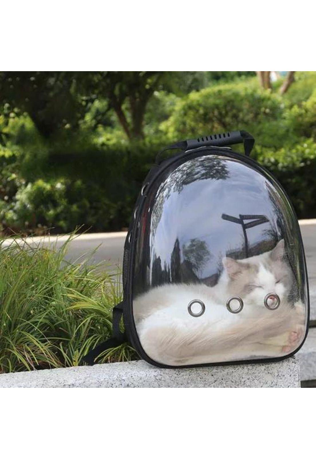 Mochila transportadora transparente para mascotas perros y gatos-3